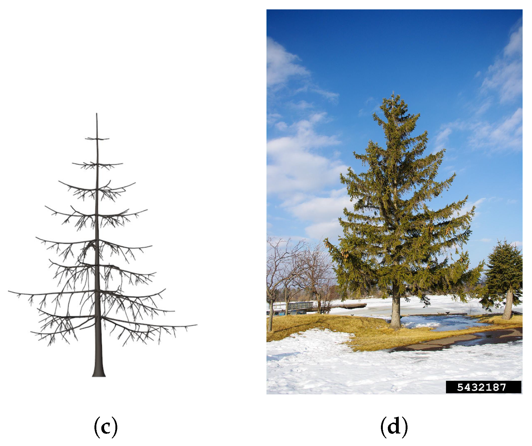 Agronomy 13 00218 g018b