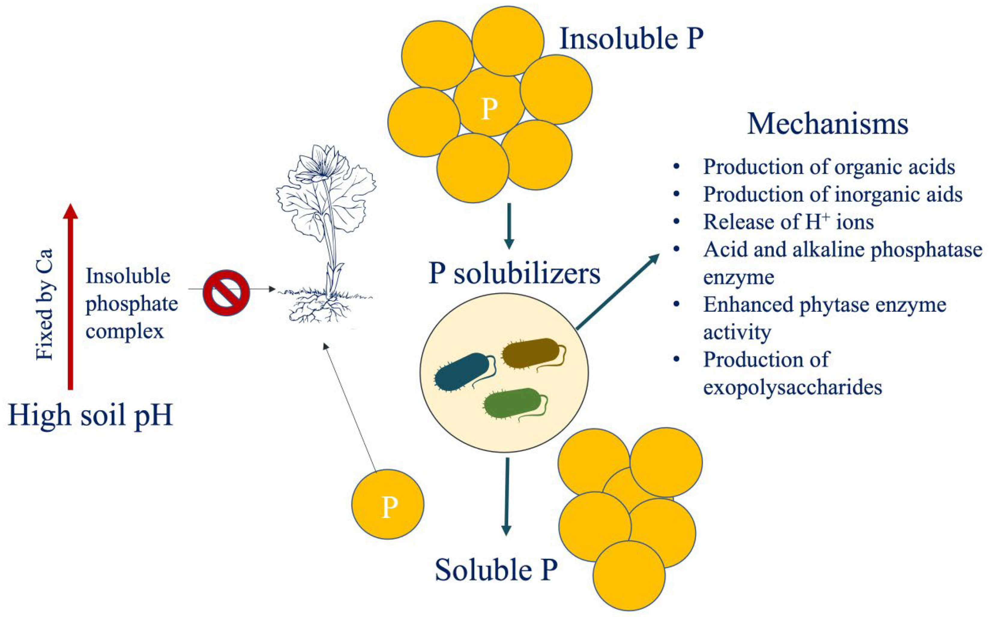 Agronomy 13 00220 g003