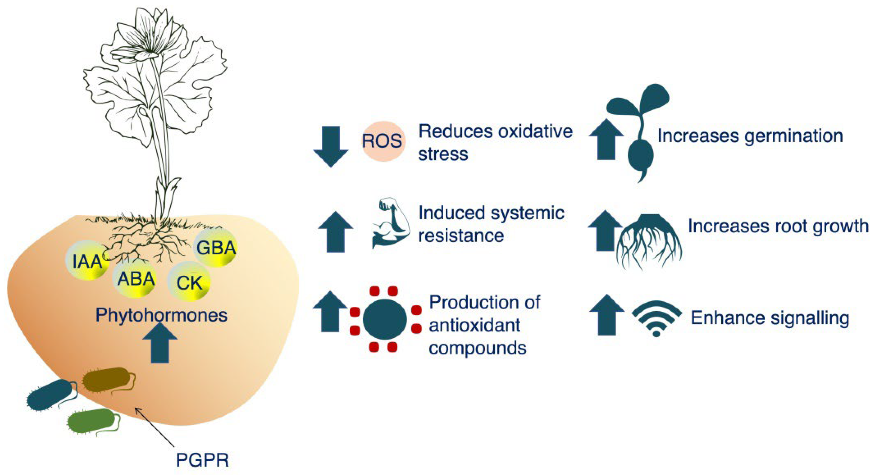 Agronomy 13 00220 g005