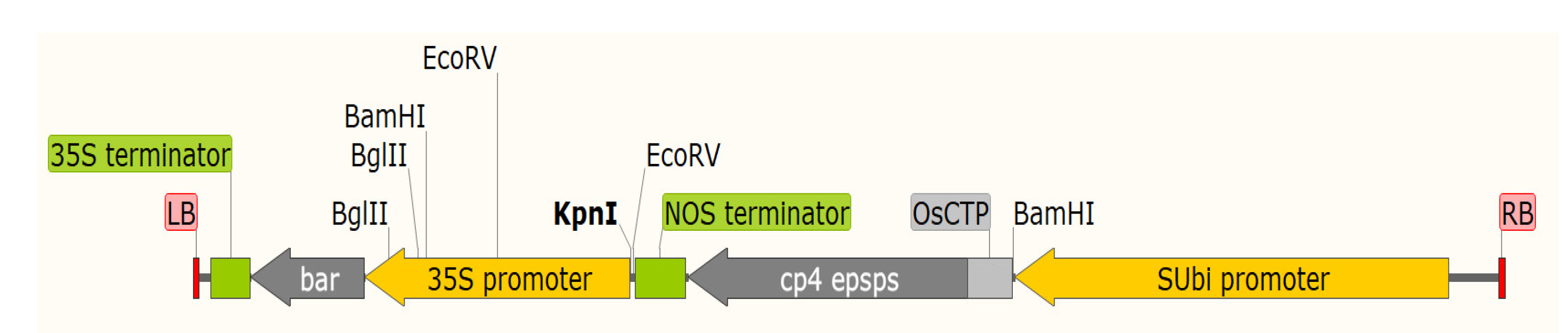 Agronomy 13 00226 g001 Agronomy 13 00226 g001