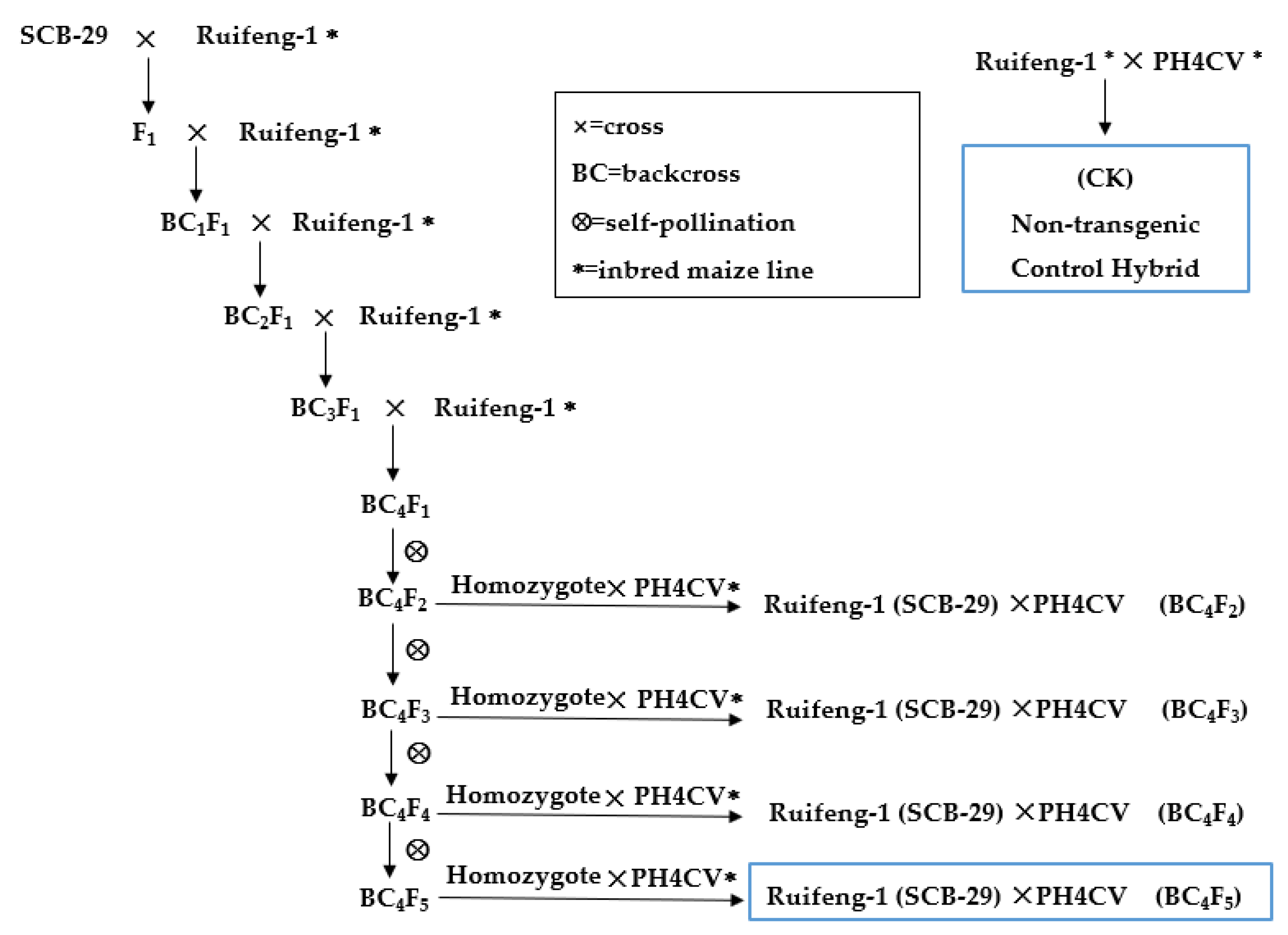 Agronomy 13 00226 g002 Agronomy 13 00226 g002