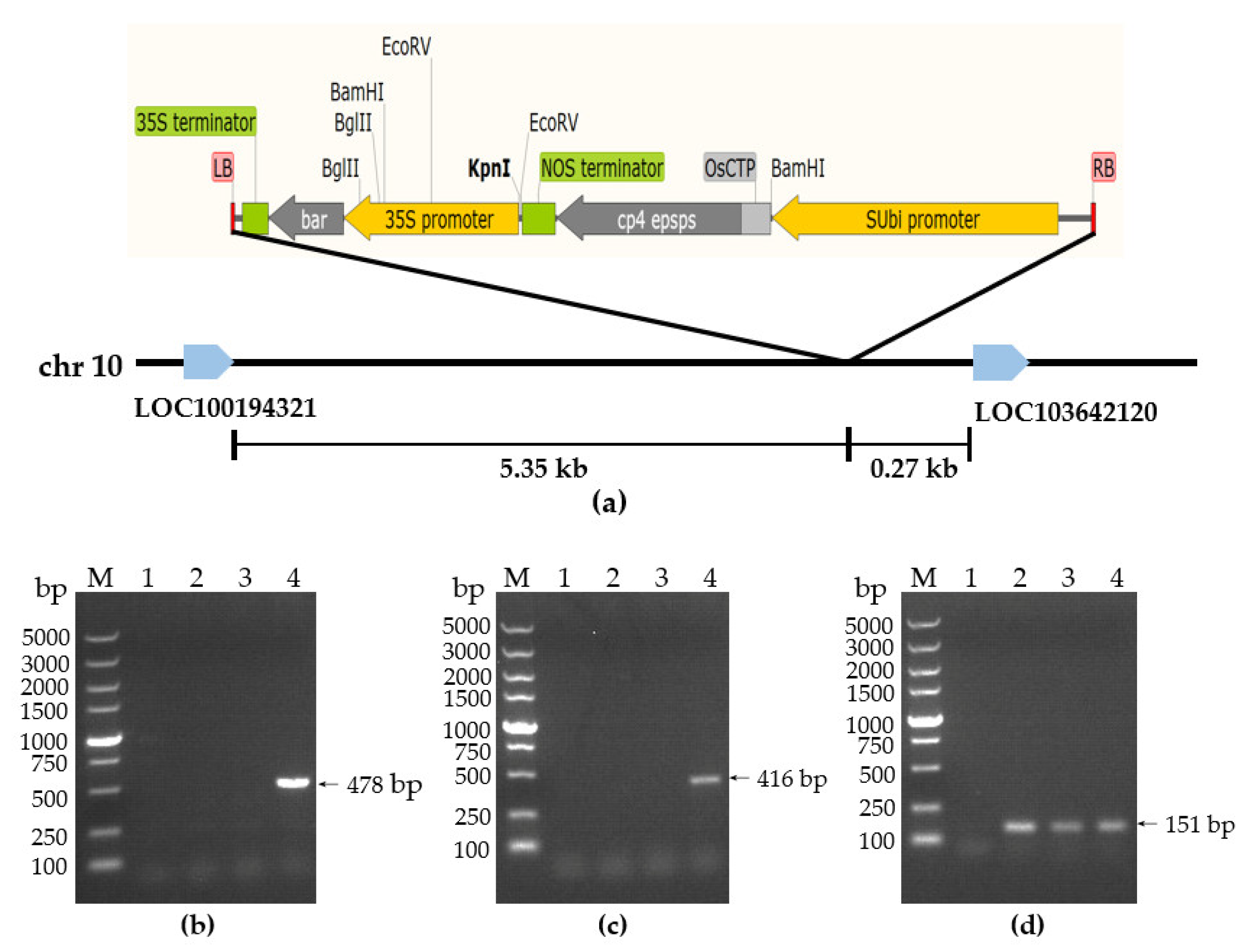 Agronomy 13 00226 g003 Agronomy 13 00226 g003