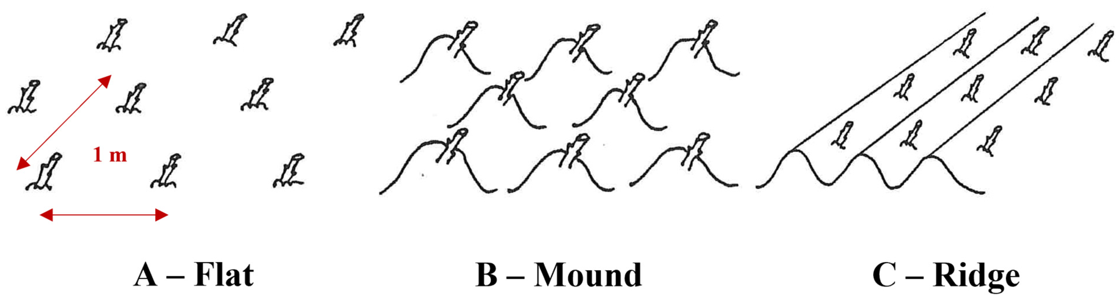 Agronomy 13 00228 g002 Agronomy 13 00228 g002