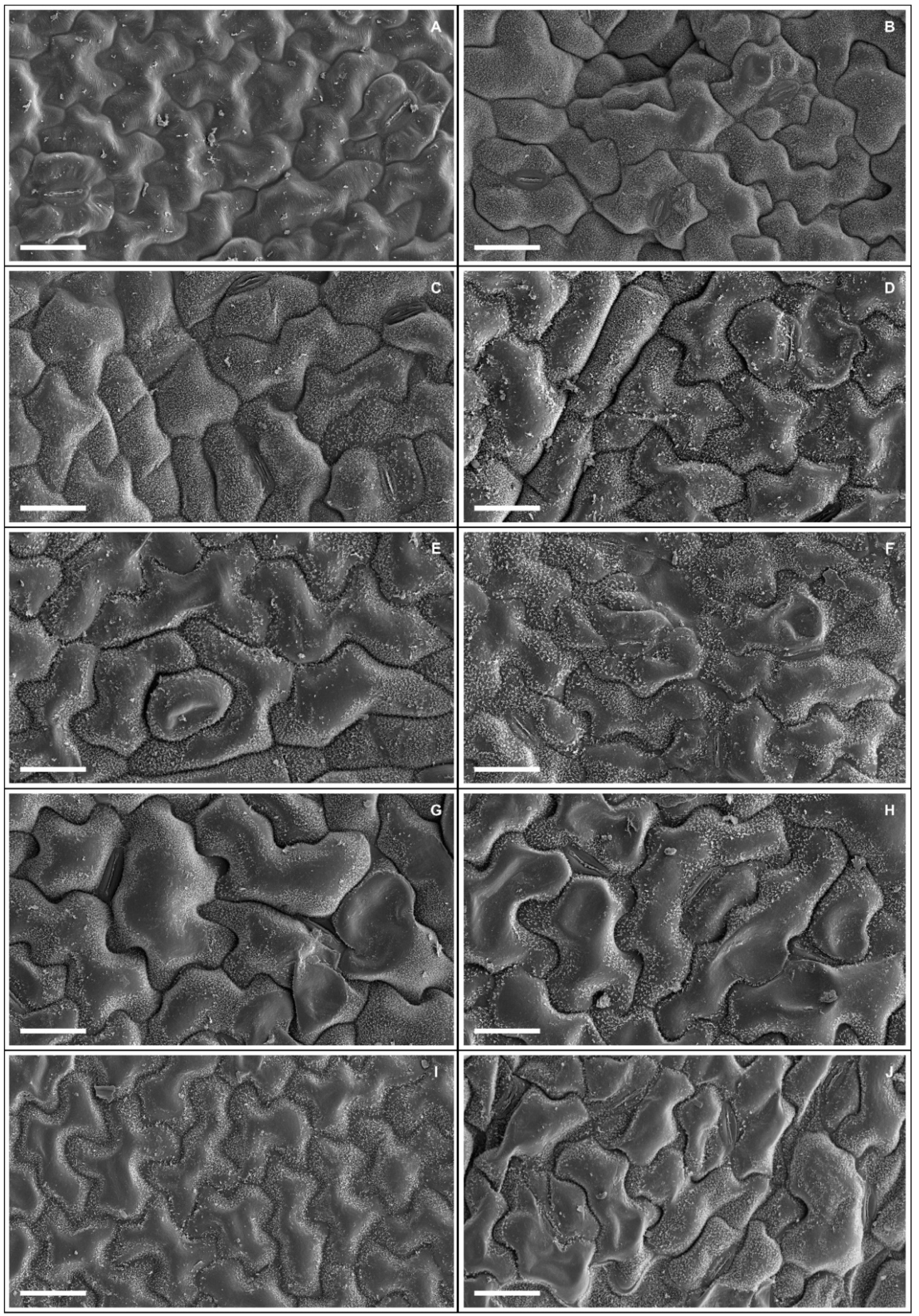 Agronomy 13 00232 g003