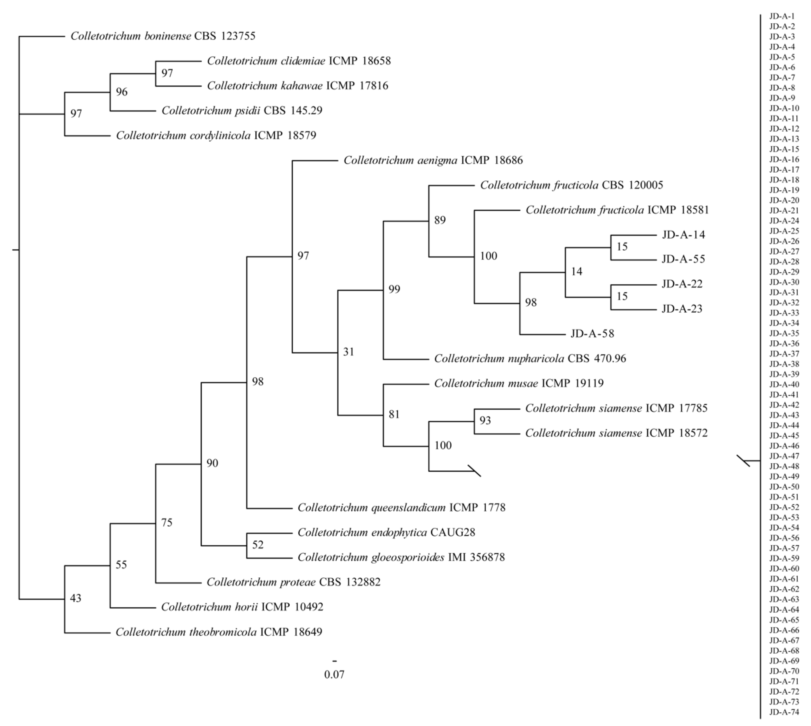 Agronomy 13 00239 g002