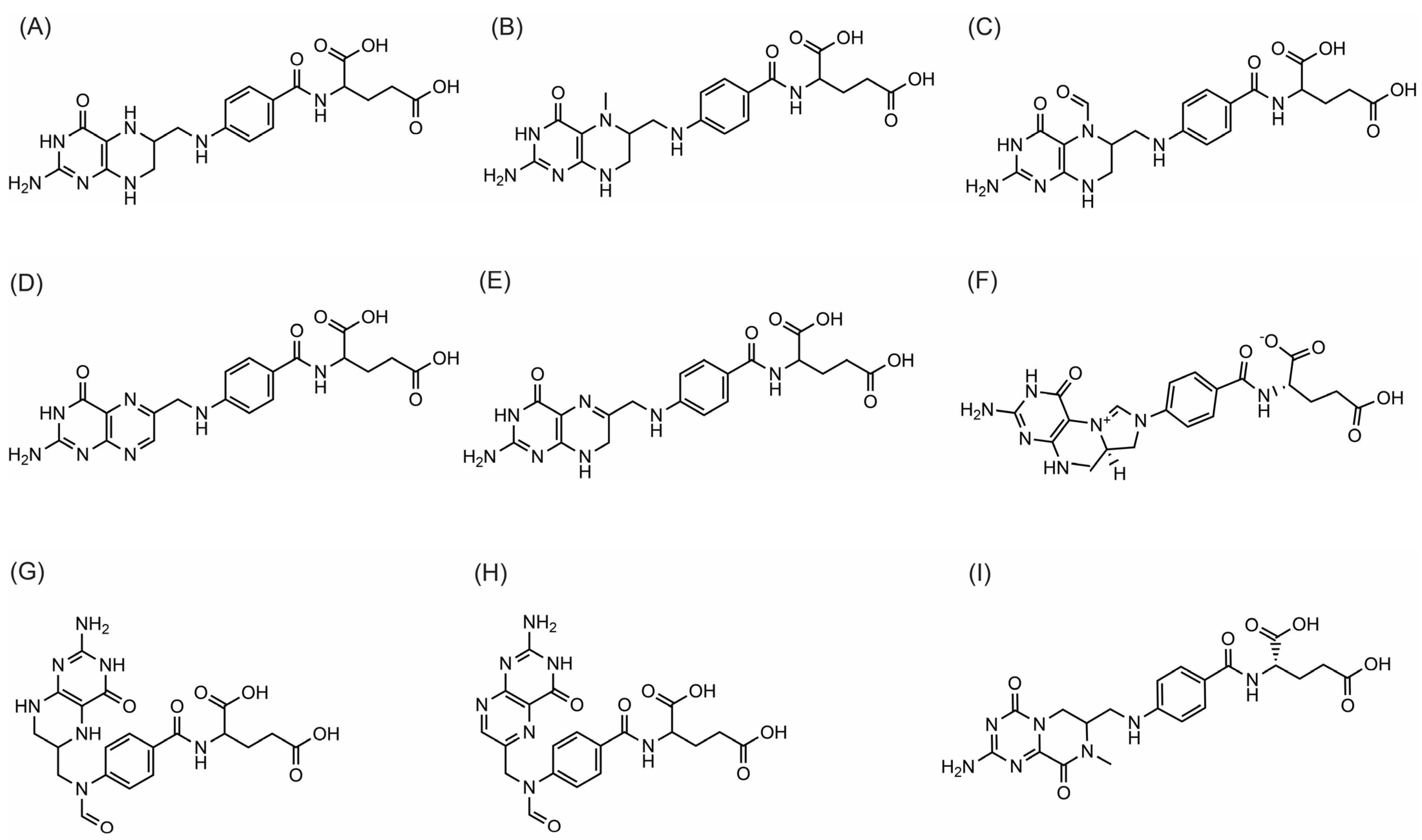 Agronomy 13 00241 g001