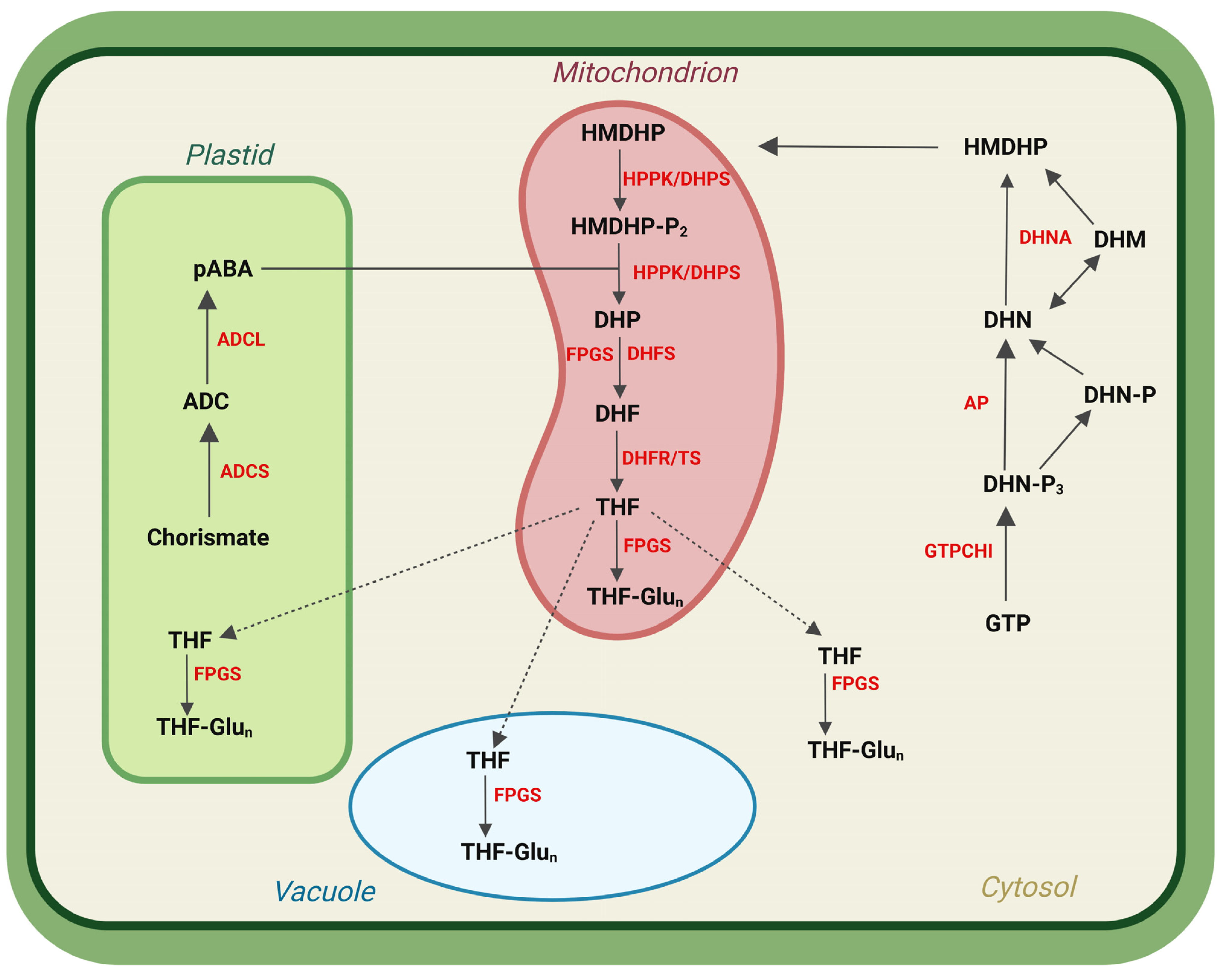 Agronomy 13 00241 g003