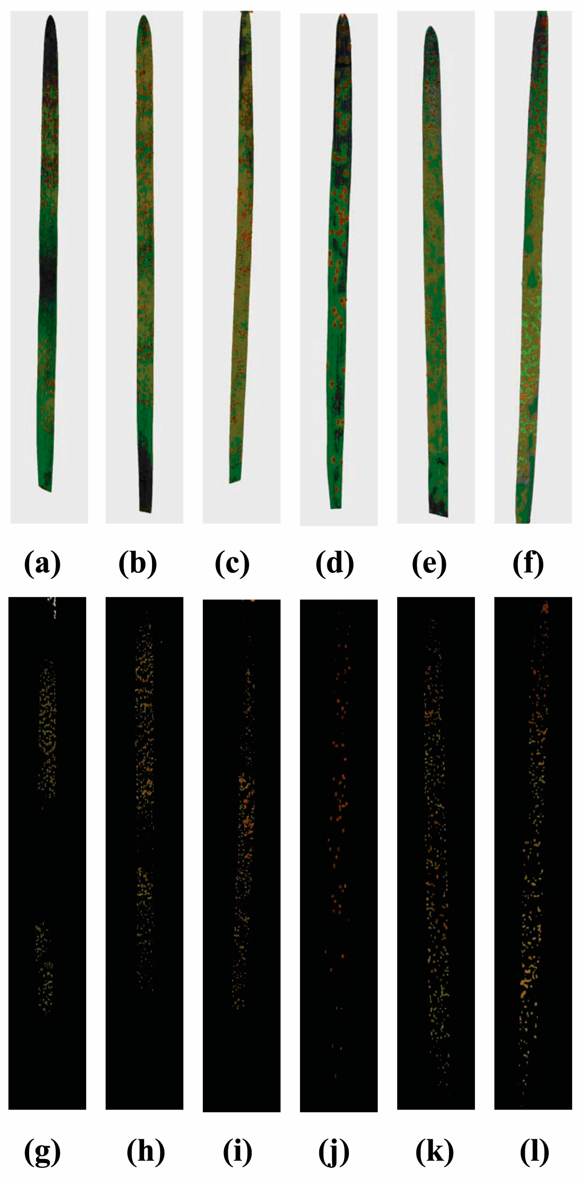 Agronomy 13 00260 g003