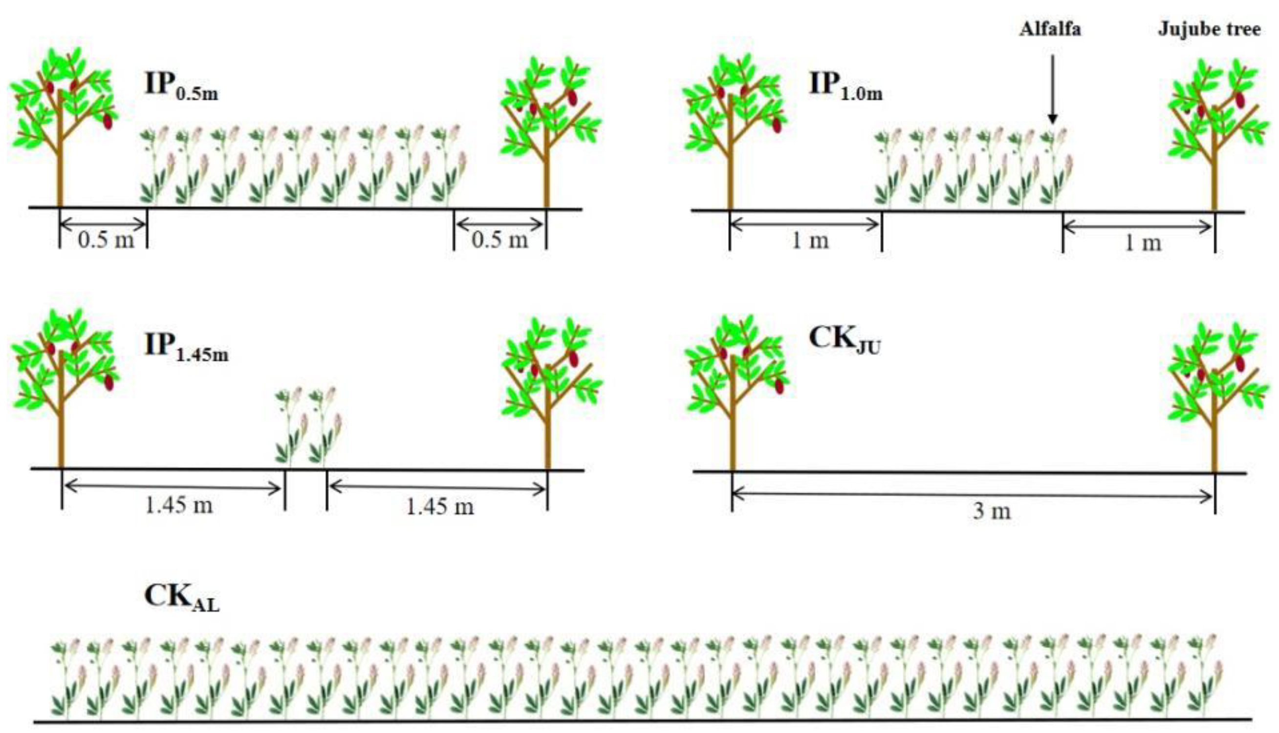 Agronomy 13 00264 g001 Agronomy 13 00264 g001