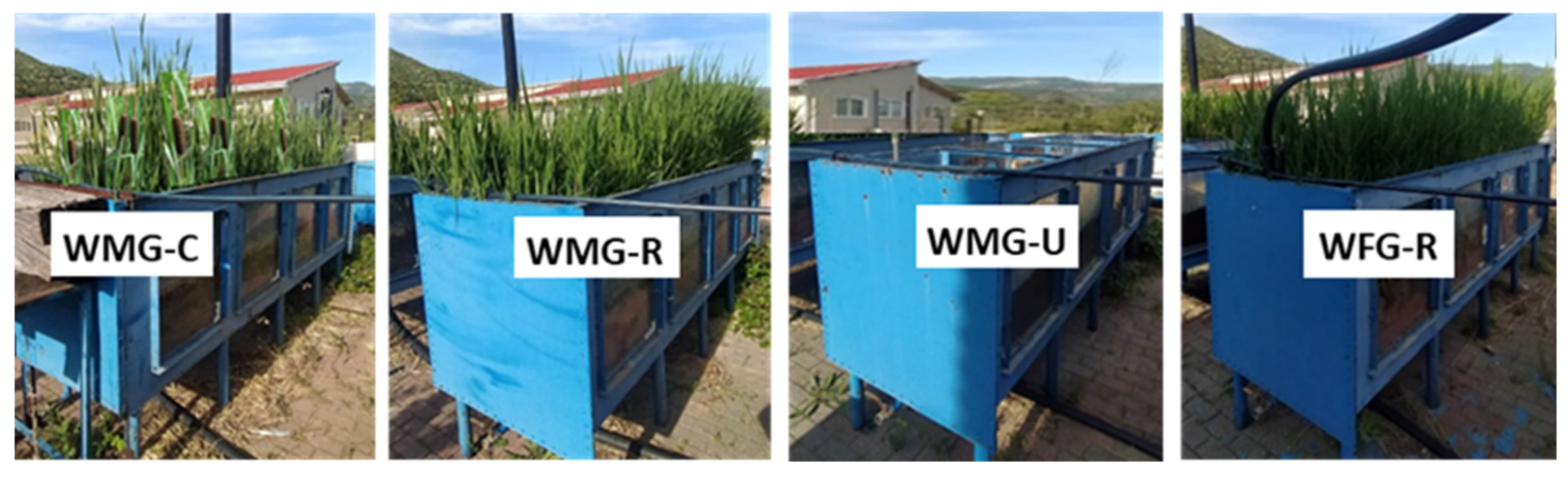 Agronomy 13 00265 g001