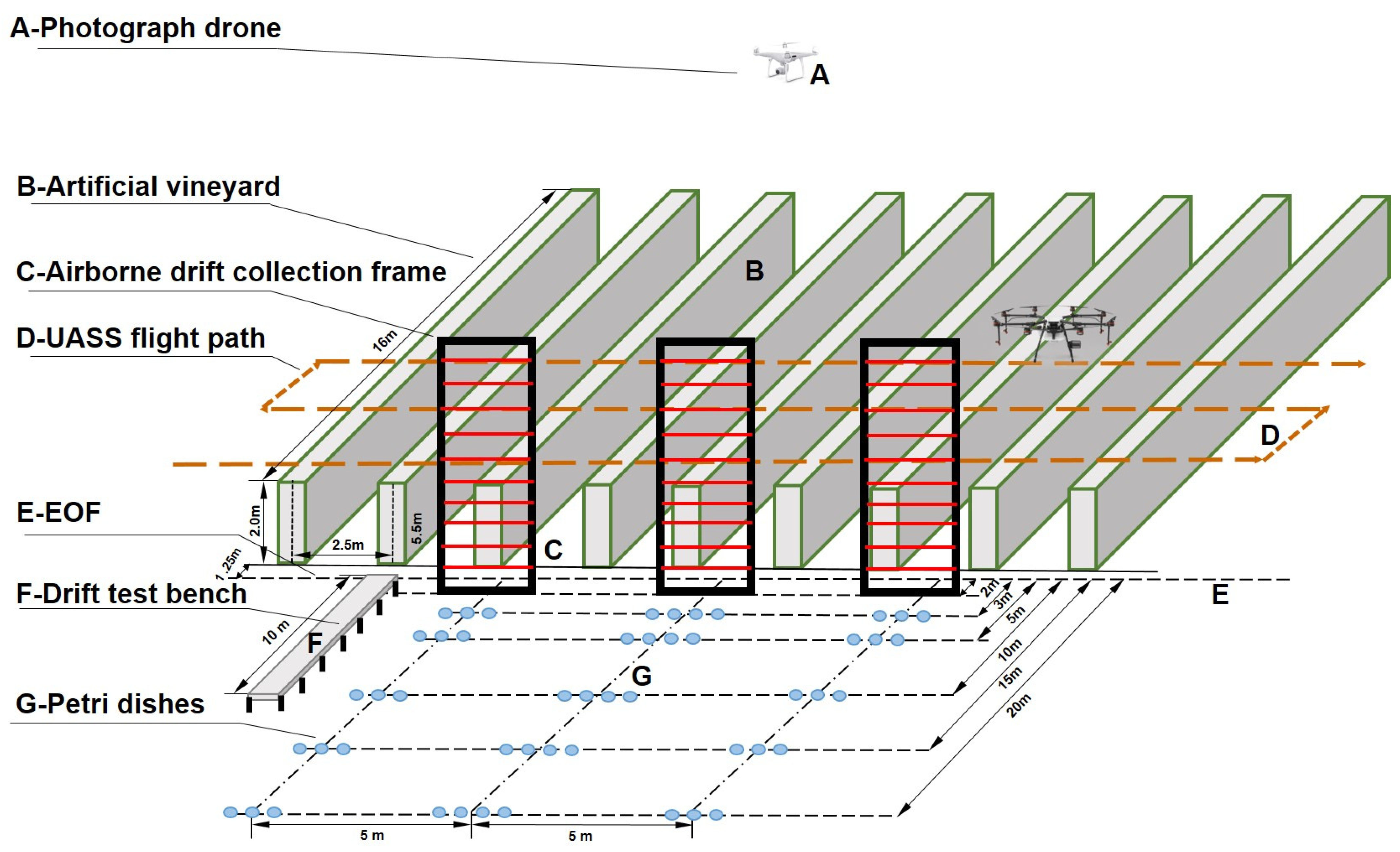 Agronomy 13 00270 g003