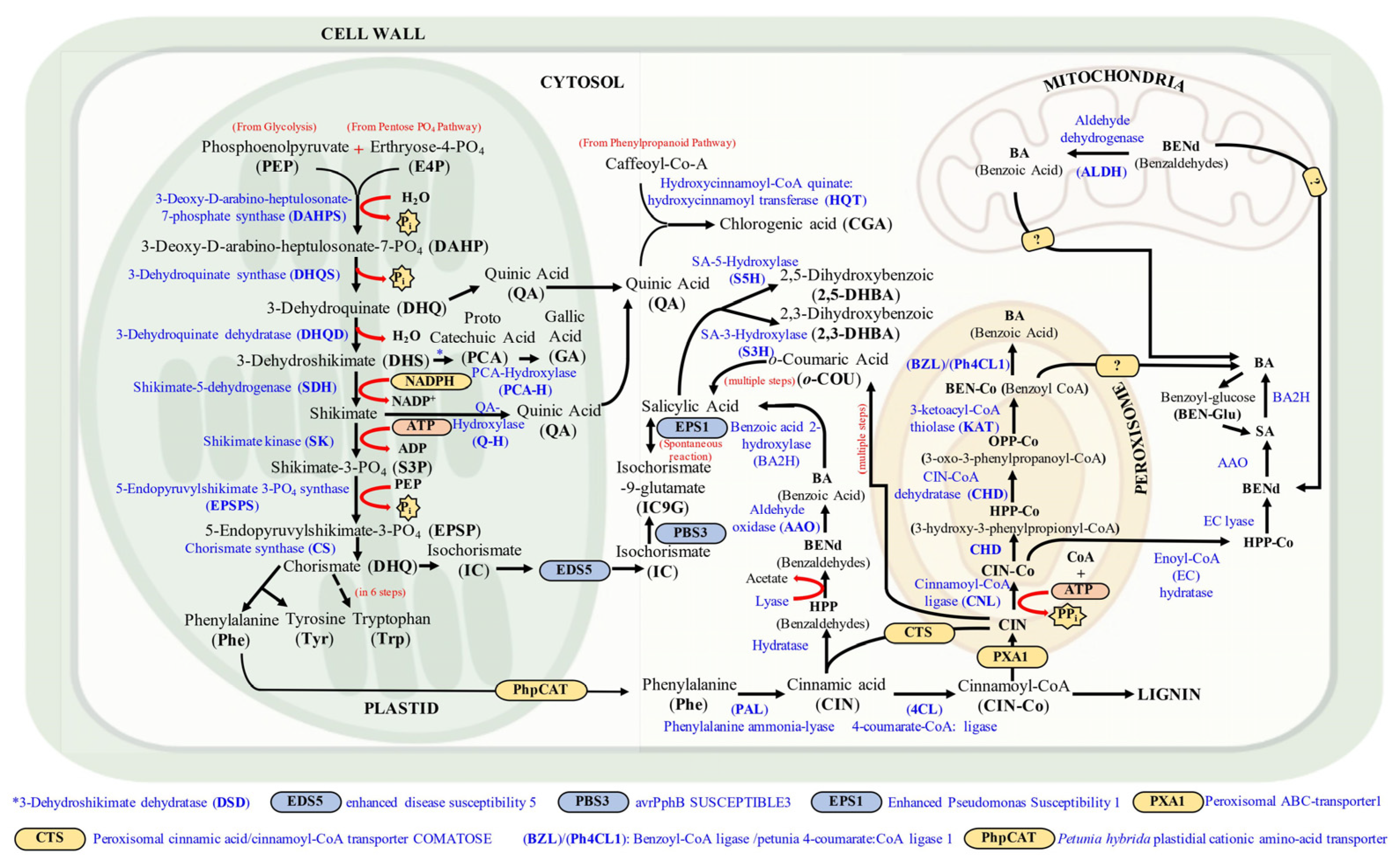 Agronomy 13 00280 g001