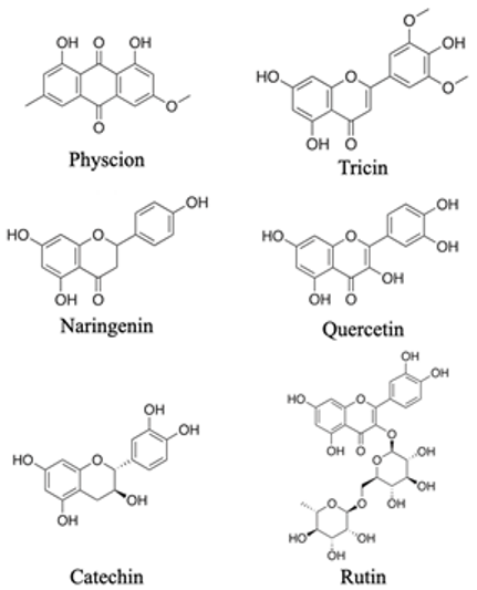 Agronomy 13 00280 i003 Agronomy 13 00280 i003