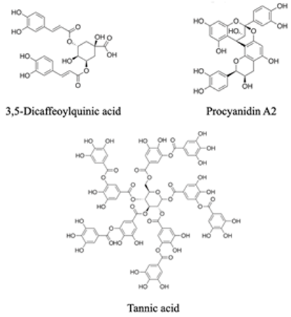 Agronomy 13 00280 i004 Agronomy 13 00280 i004