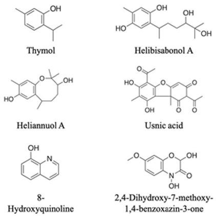 Agronomy 13 00280 i005 Agronomy 13 00280 i005