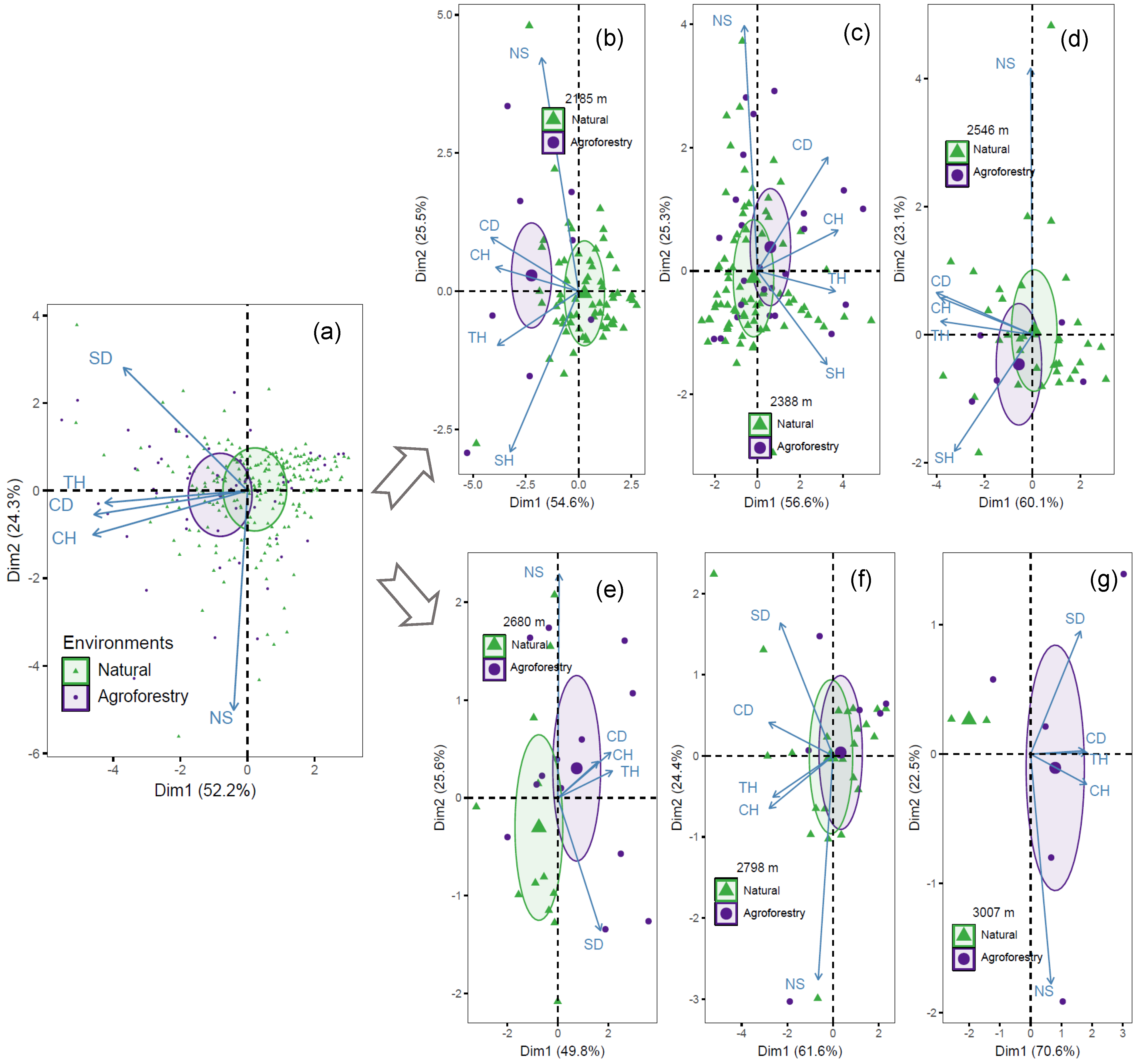 Agronomy 13 00282 g005 Agronomy 13 00282 g005