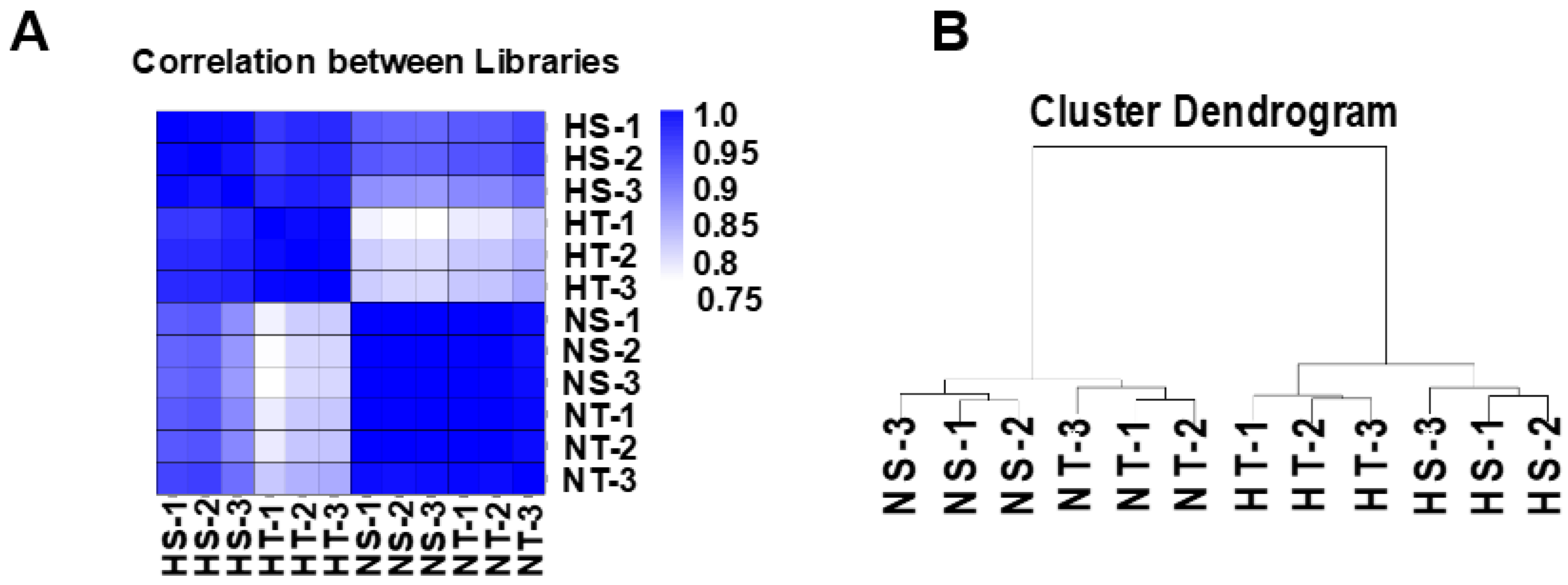 Agronomy 13 00285 g006