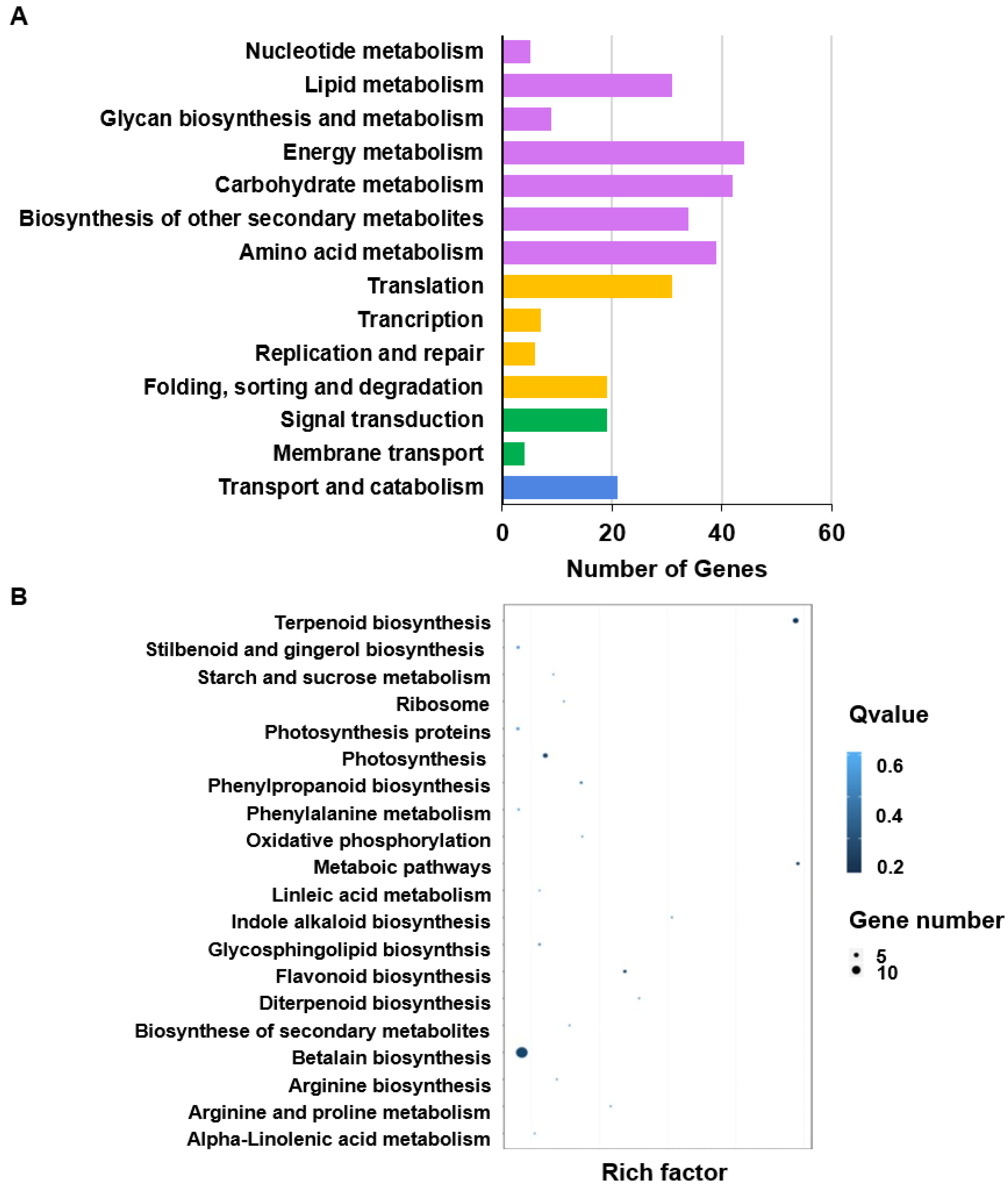 Agronomy 13 00285 g009