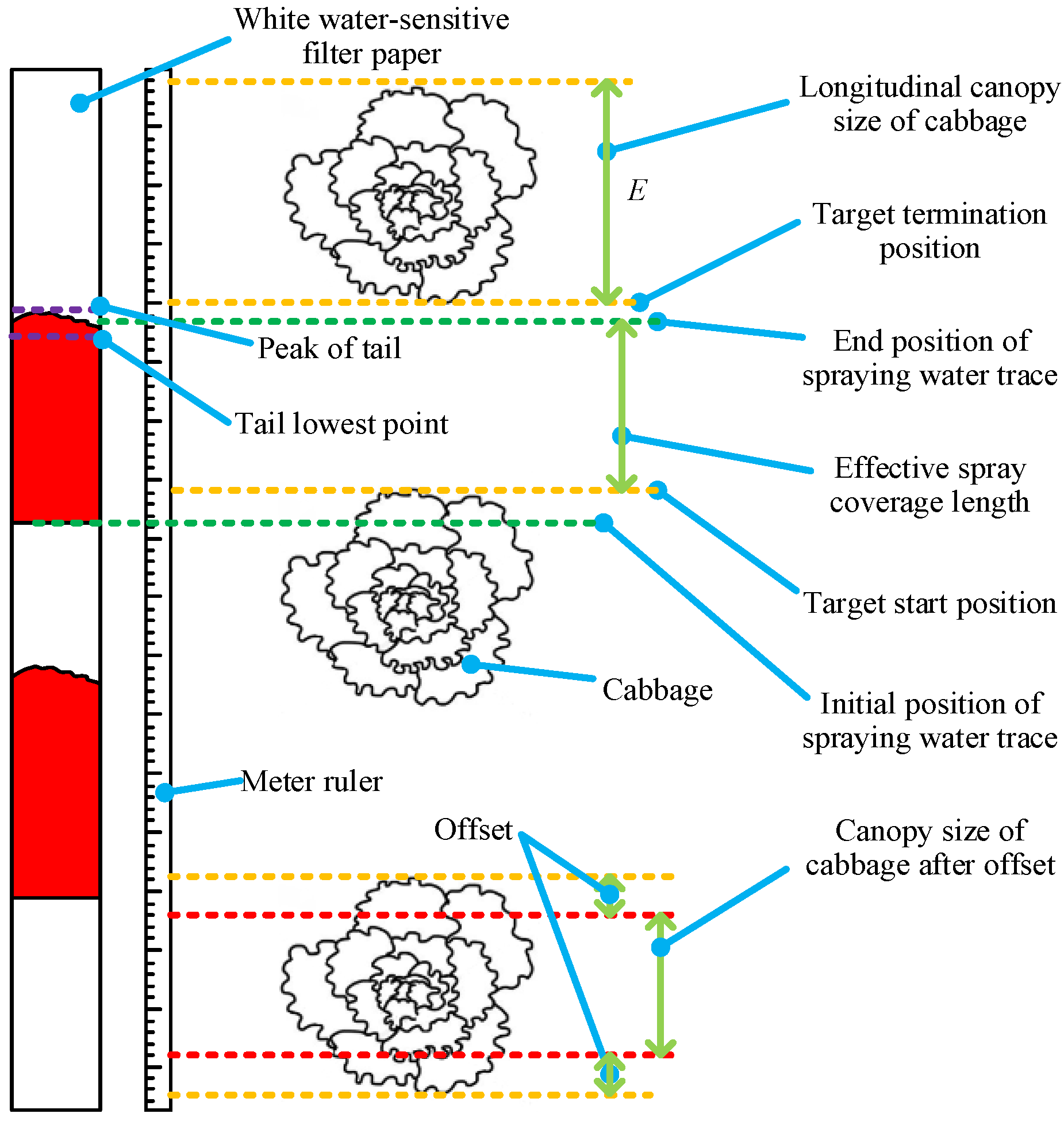 Agronomy 13 00286 g007