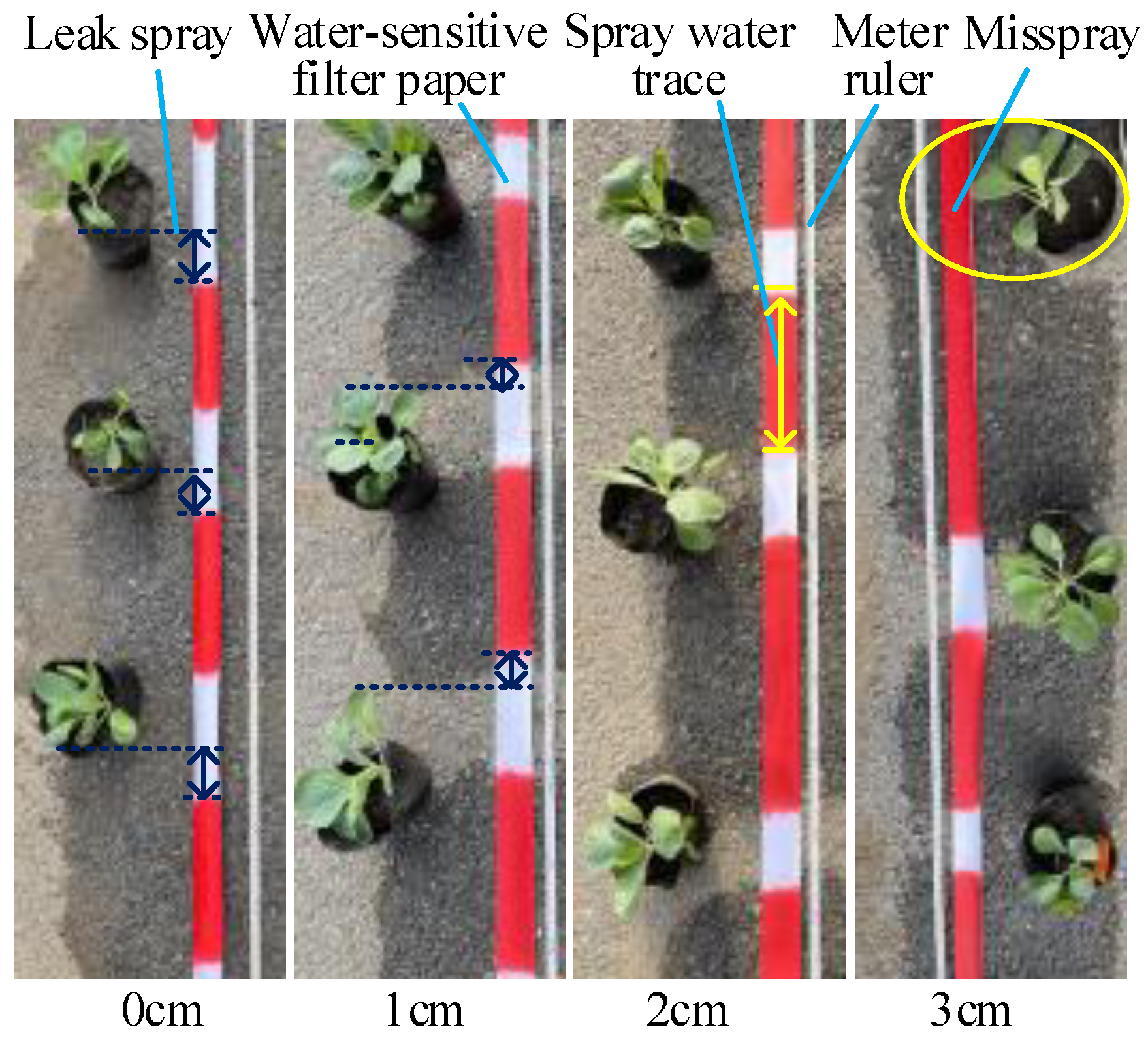 Agronomy 13 00286 g008