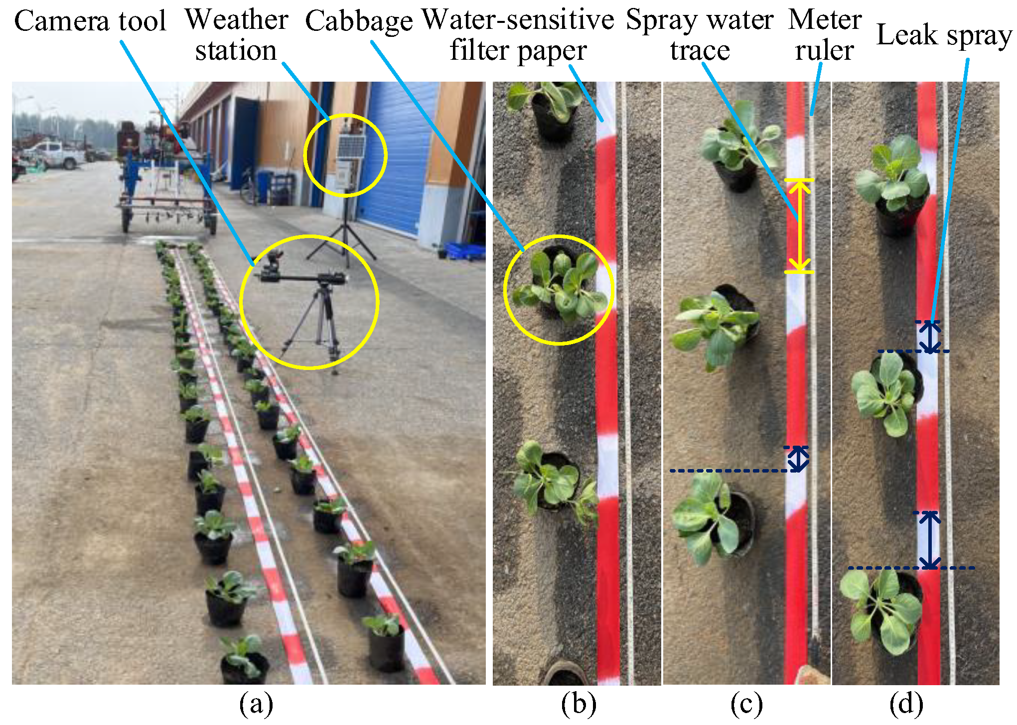 Agronomy 13 00286 g009