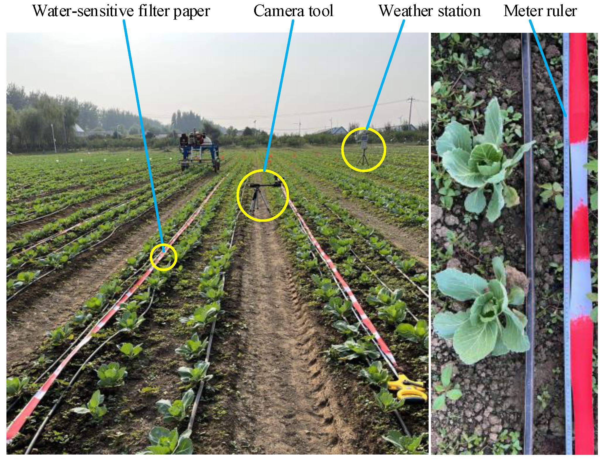 Agronomy 13 00286 g010