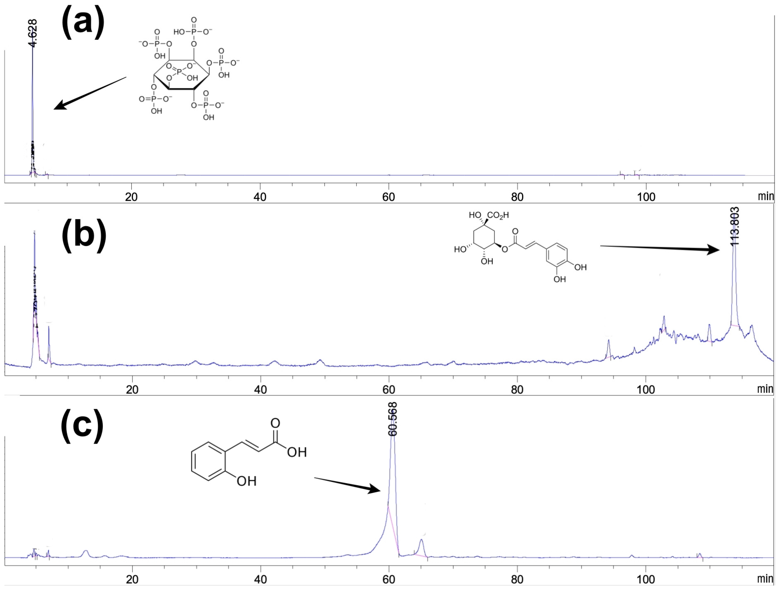 Agronomy 13 00295 g002