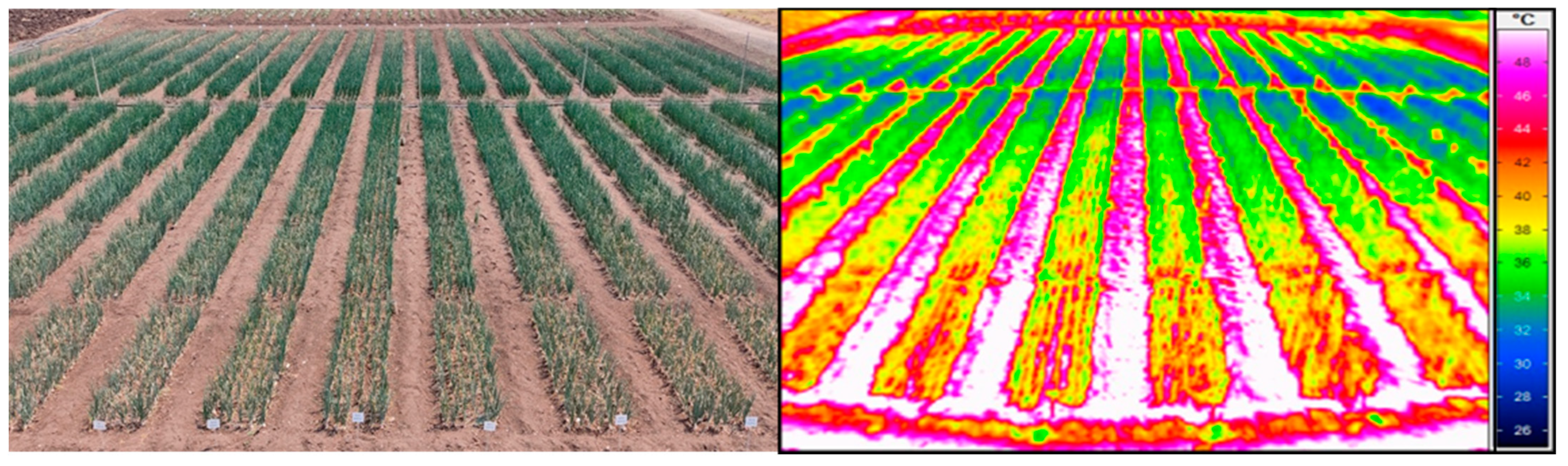 Agronomy 13 00297 g001