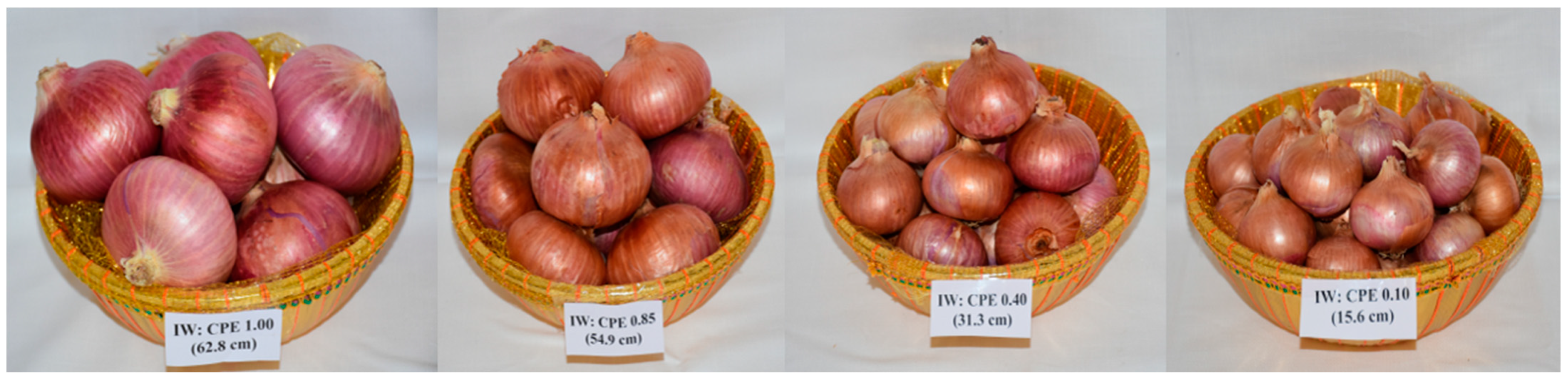 Agronomy 13 00297 g002