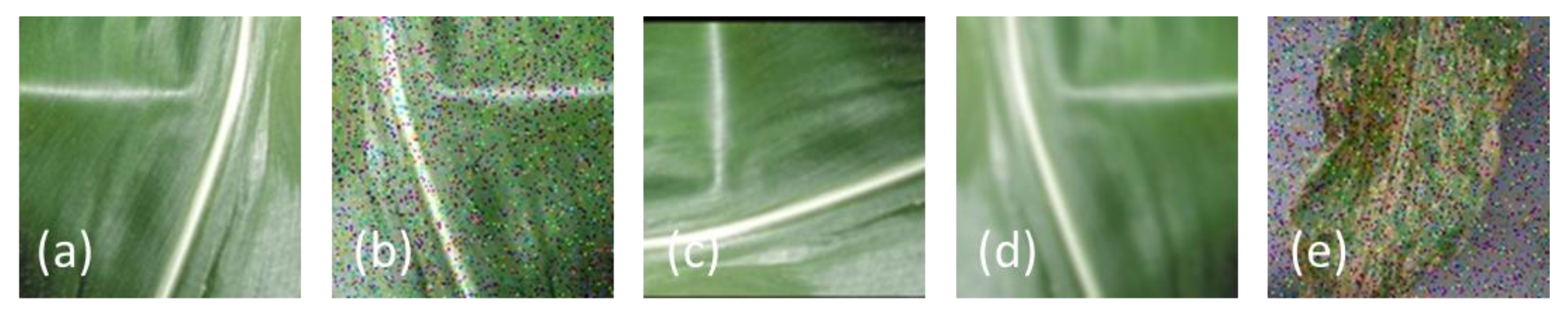 Agronomy 13 00300 g002