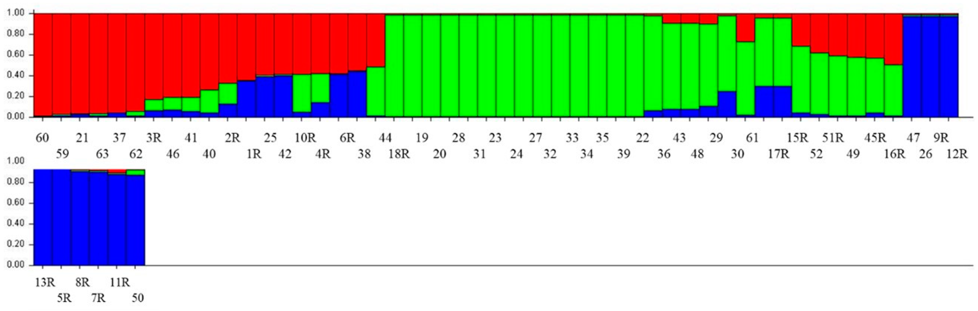 Agronomy 13 00302 g005 Agronomy 13 00302 g005