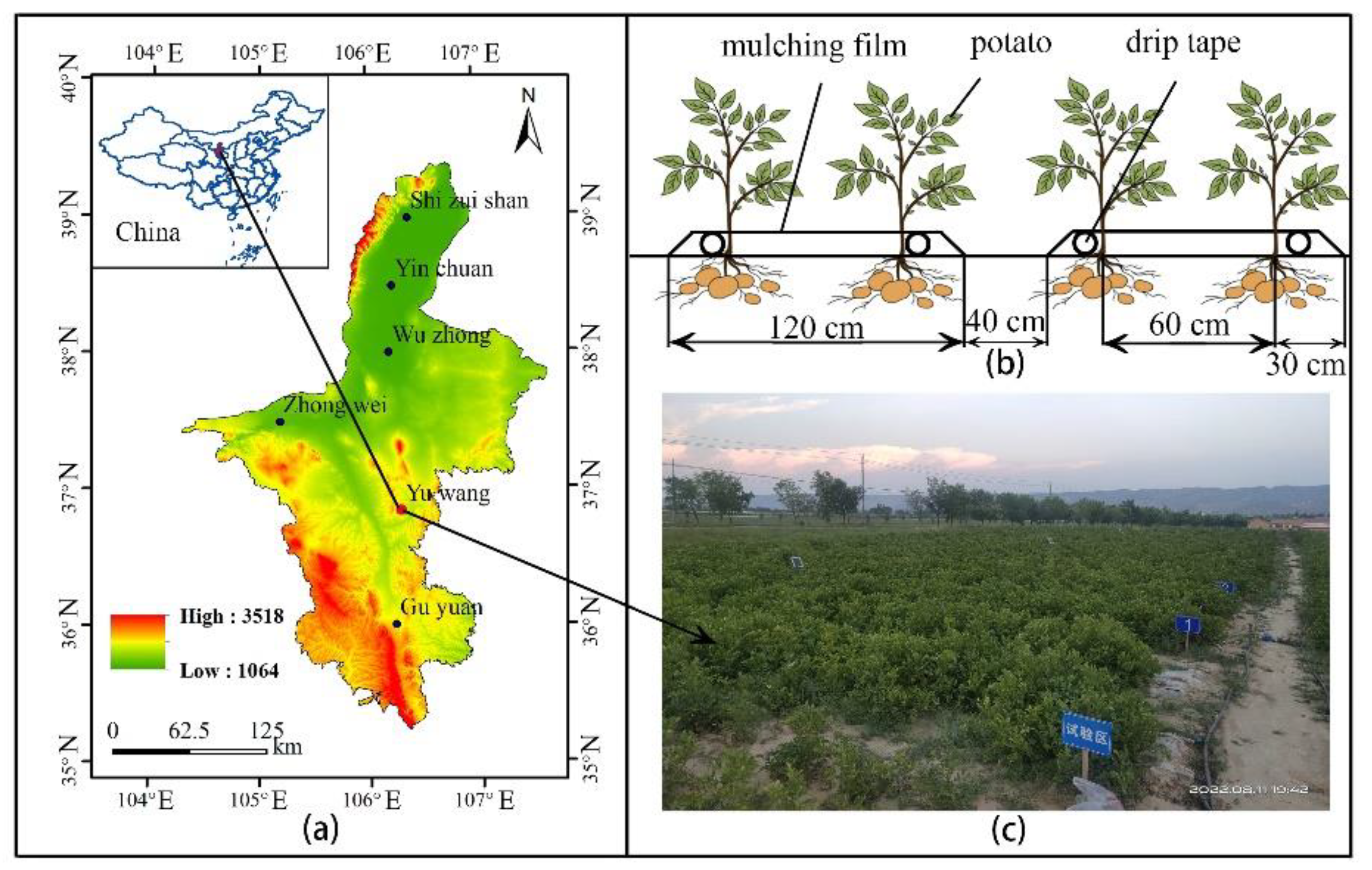 Agronomy 13 00308 g001
