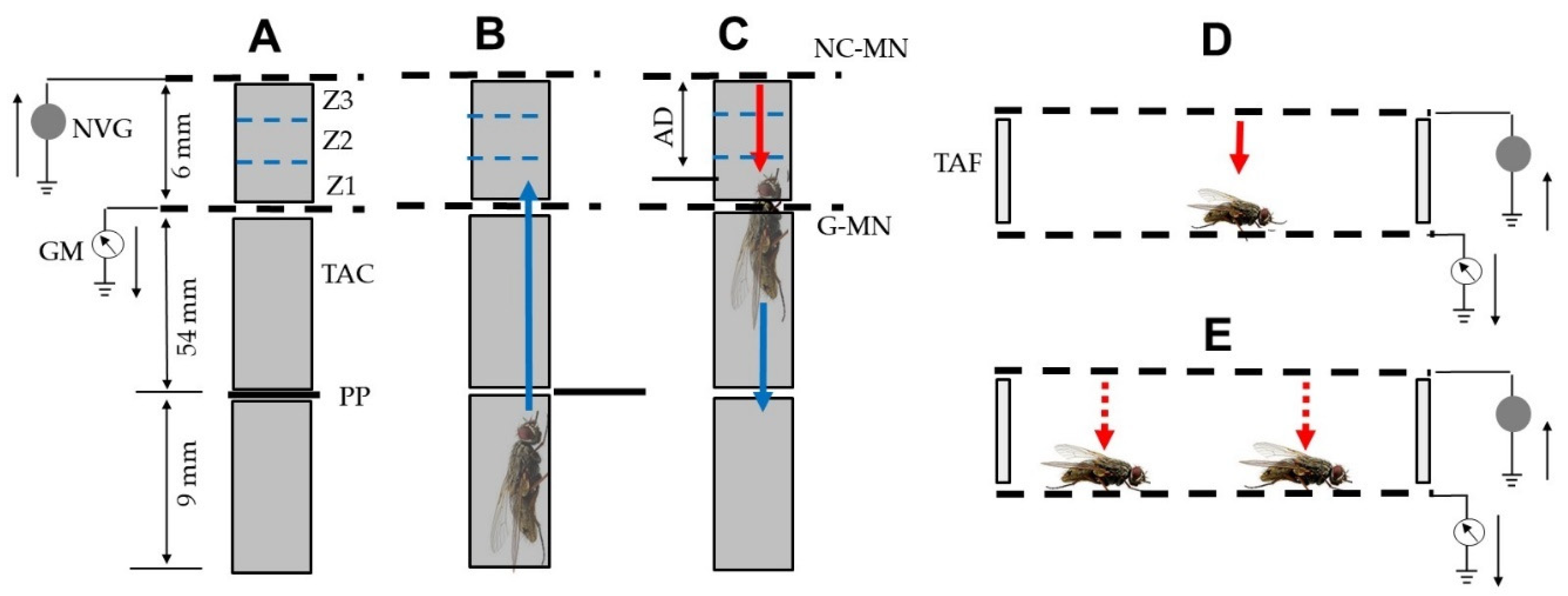 Agronomy 13 00310 g002