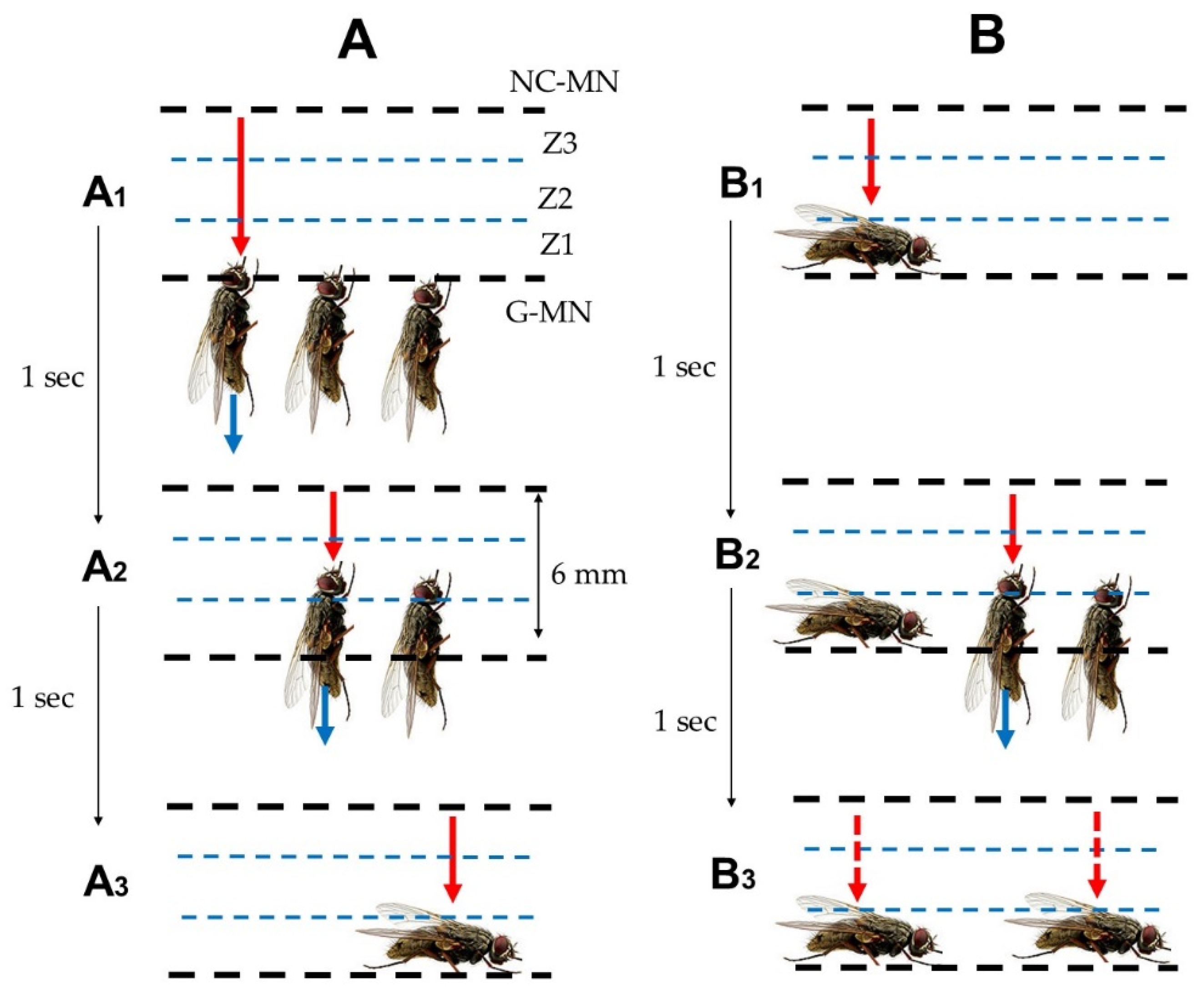 Agronomy 13 00310 g008