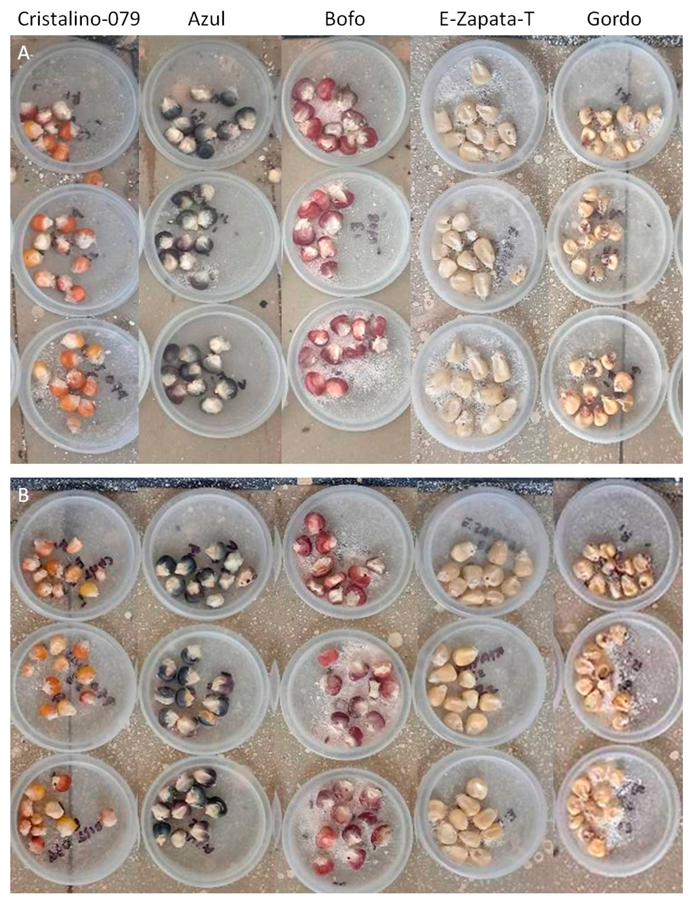 Agronomy 13 00312 g001 Agronomy 13 00312 g001