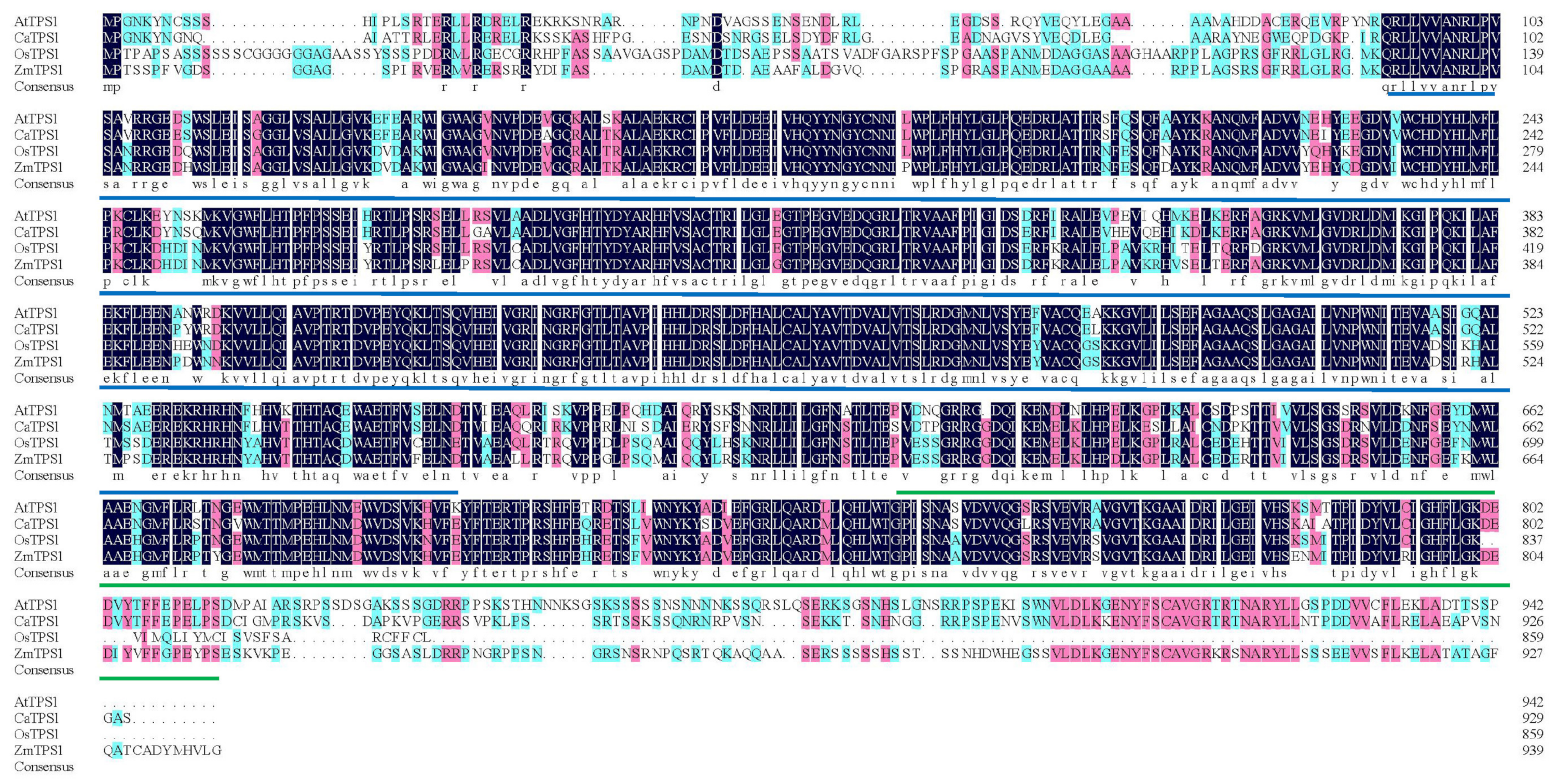 Agronomy 13 00319 g001