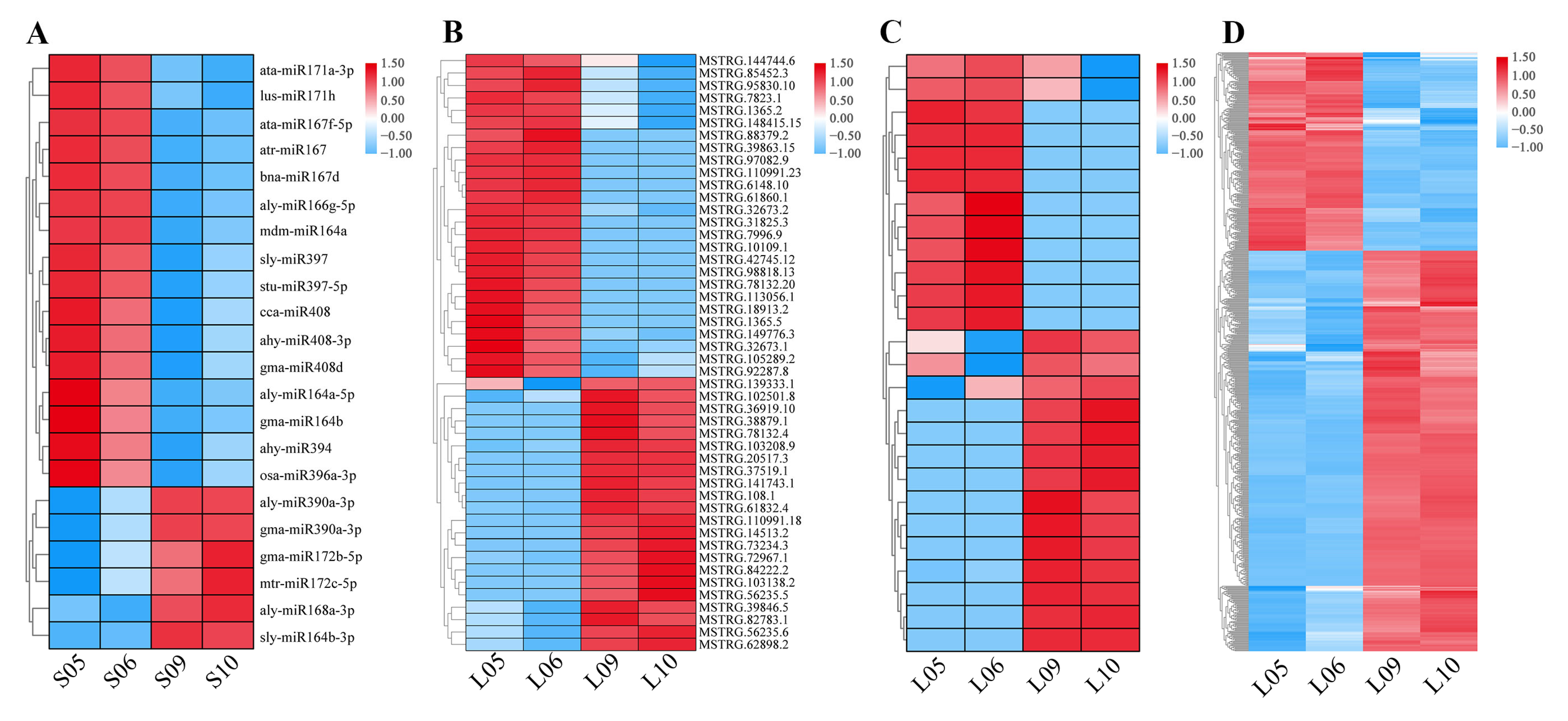 Agronomy 13 00321 g001