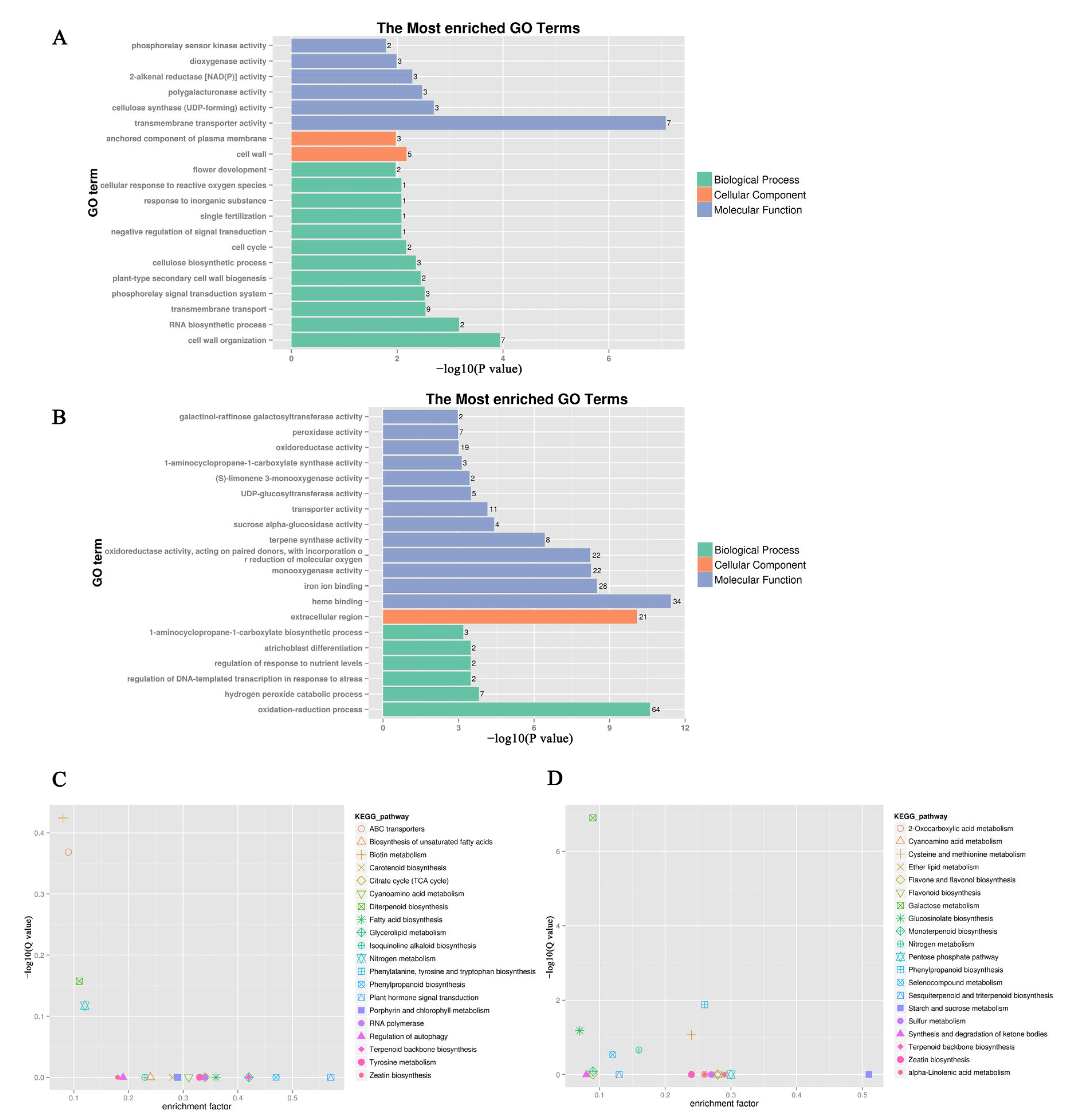 Agronomy 13 00321 g003