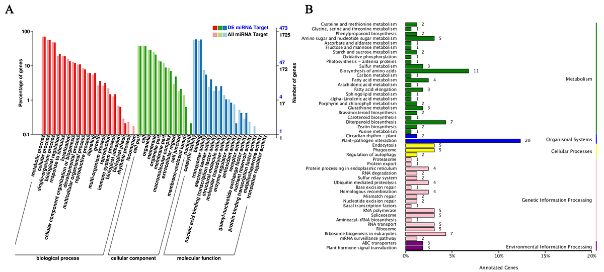 Agronomy 13 00321 g004