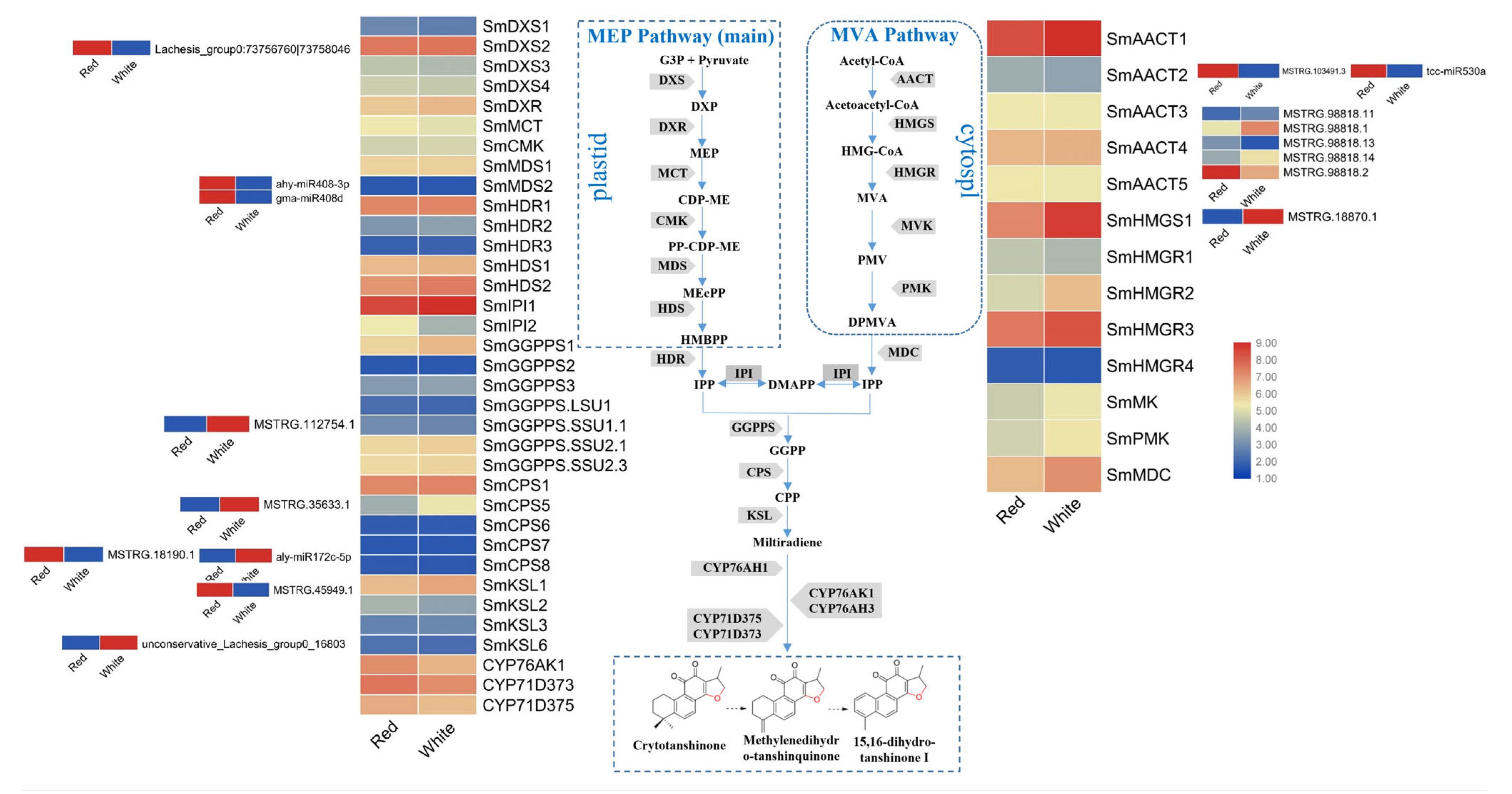 Agronomy 13 00321 g007