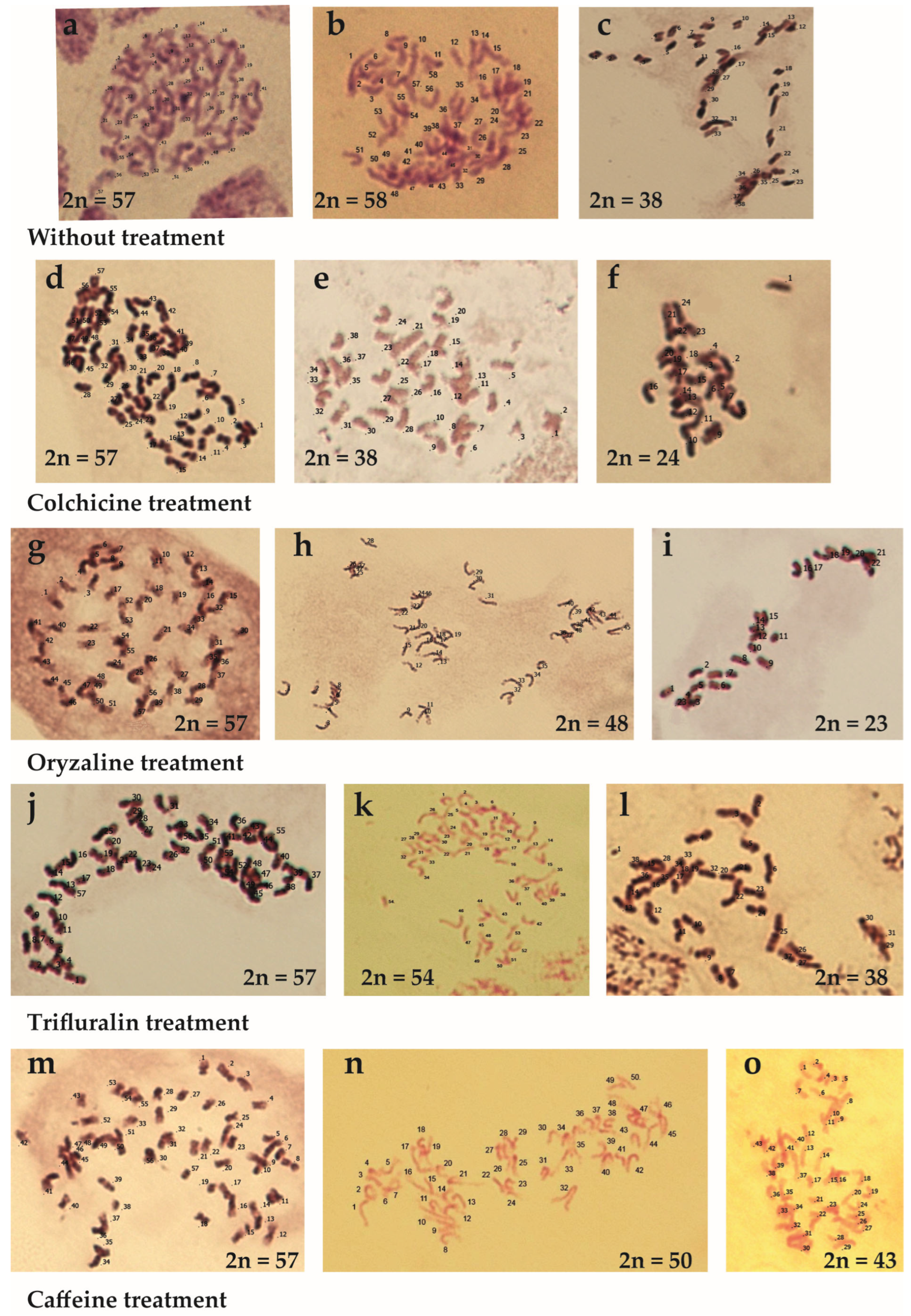 Agronomy 13 00323 g003