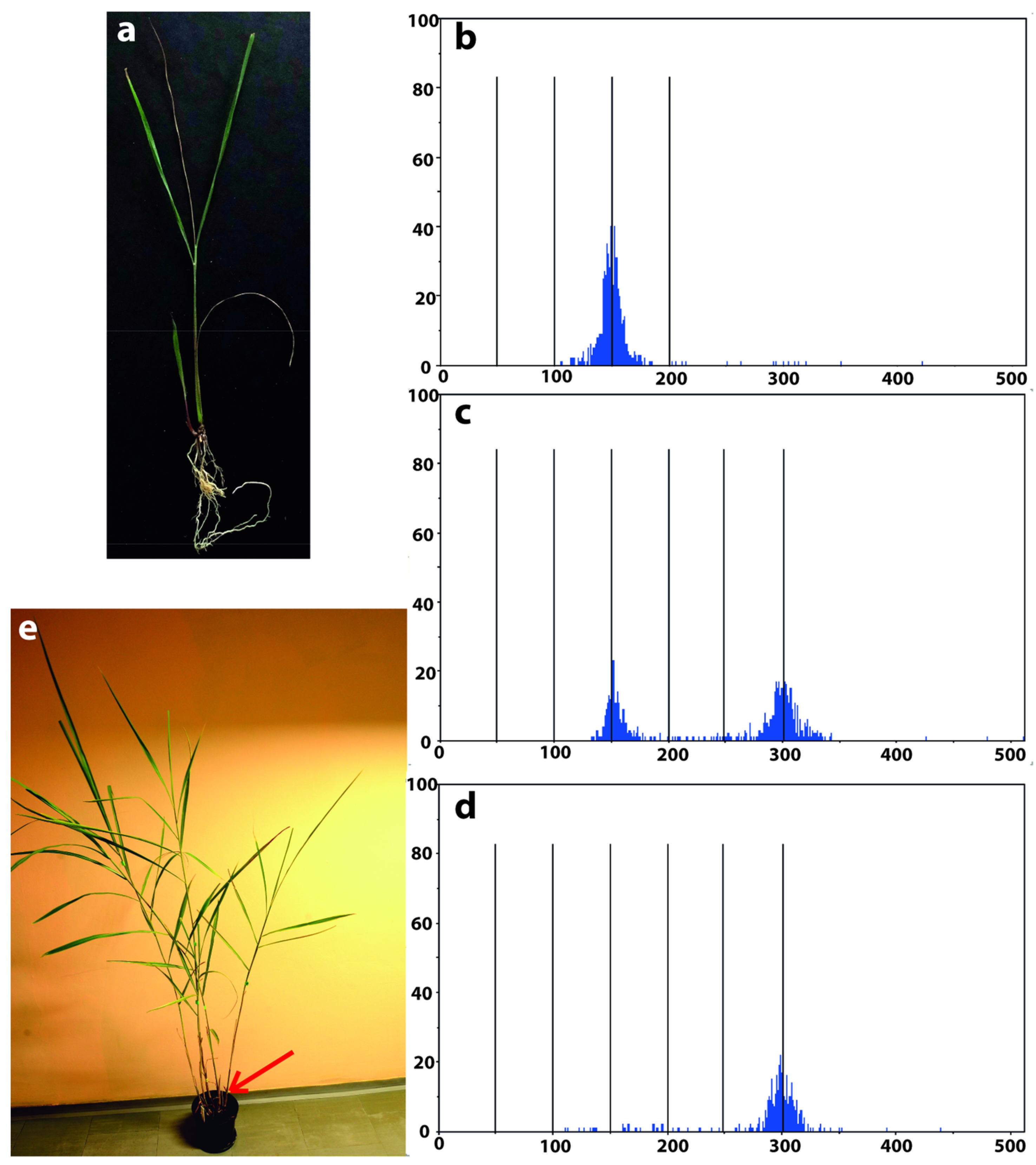 Agronomy 13 00323 g004
