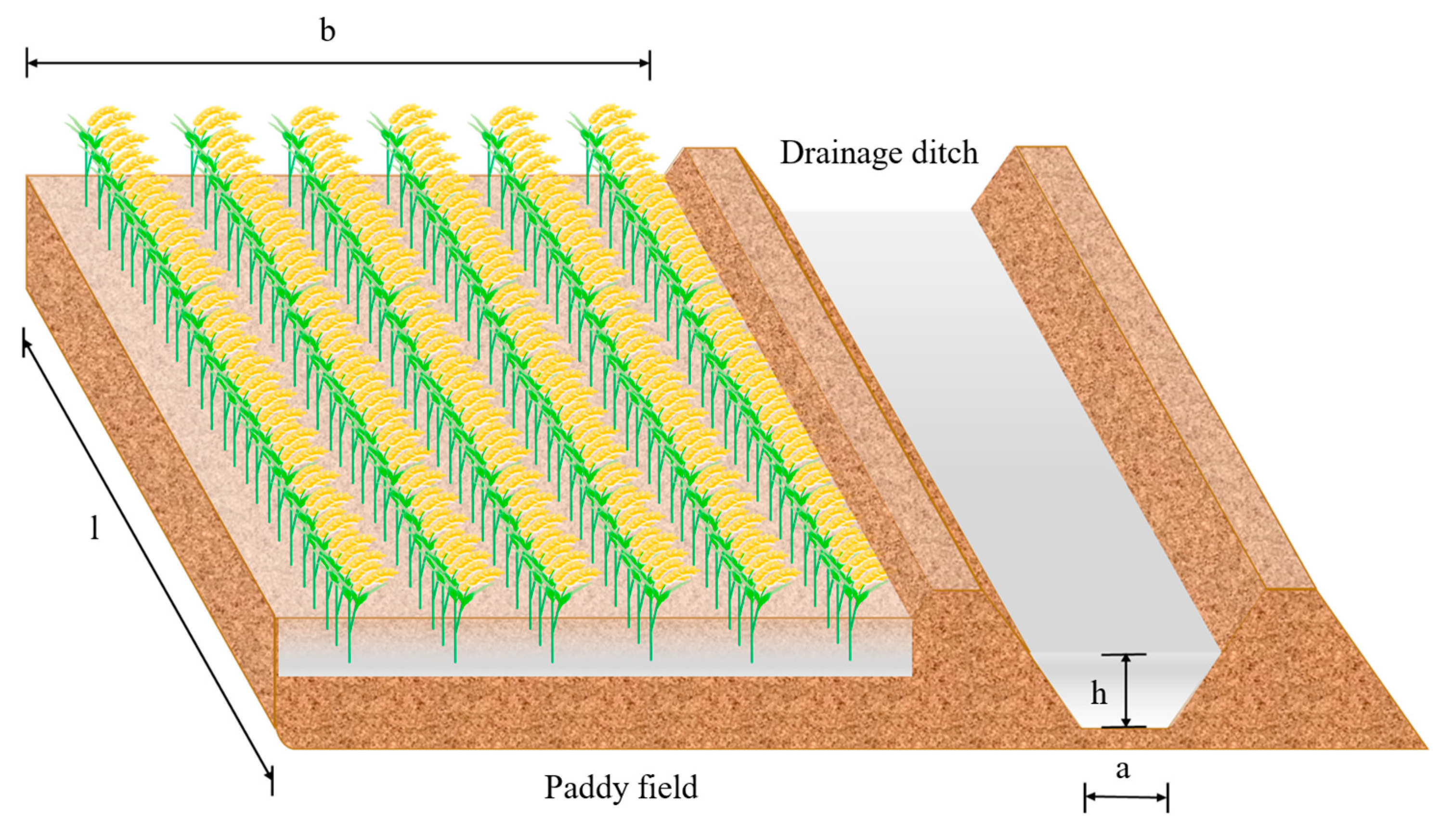 Agronomy 13 00327 g003