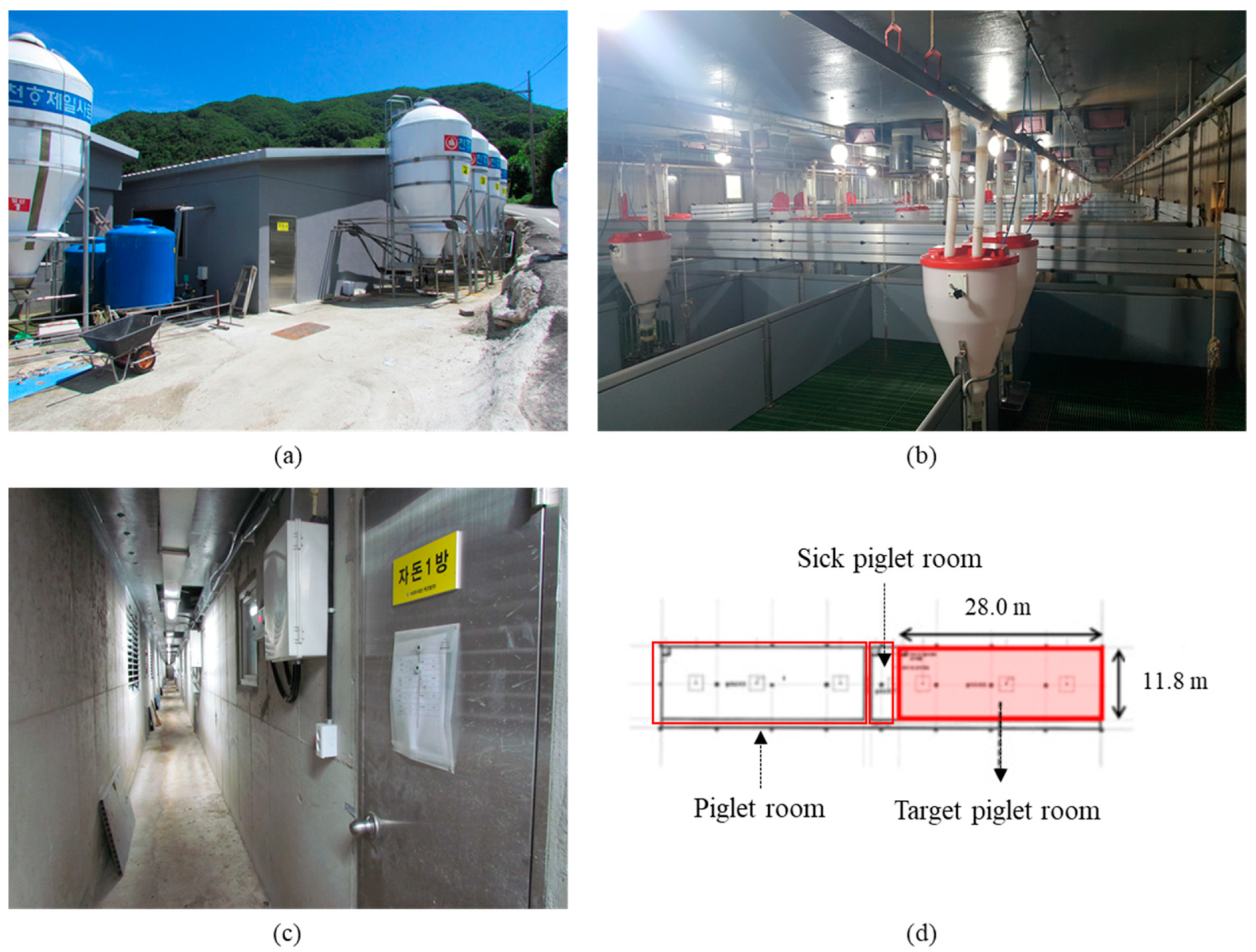 Agronomy 13 00328 g002