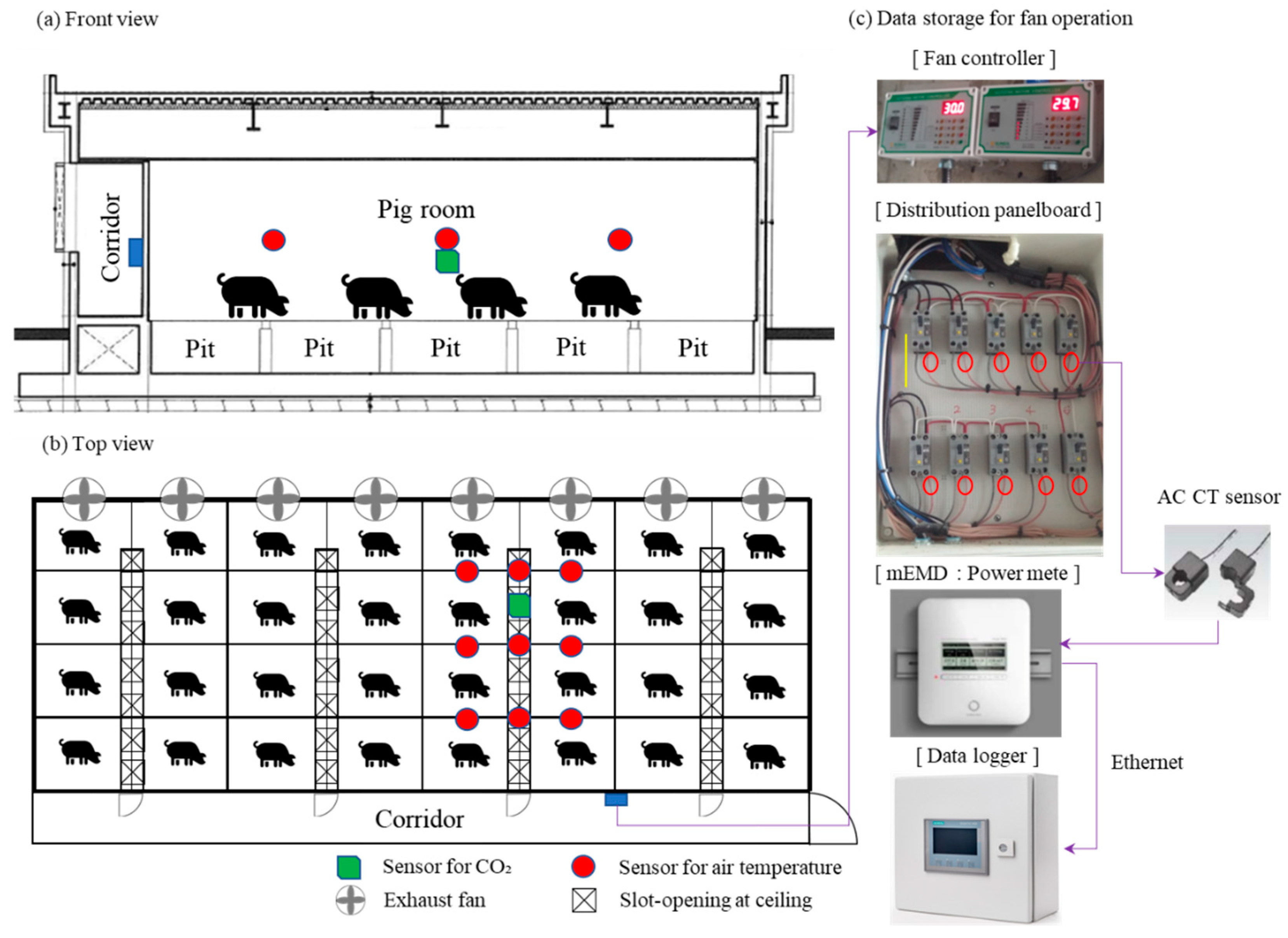 Agronomy 13 00328 g003