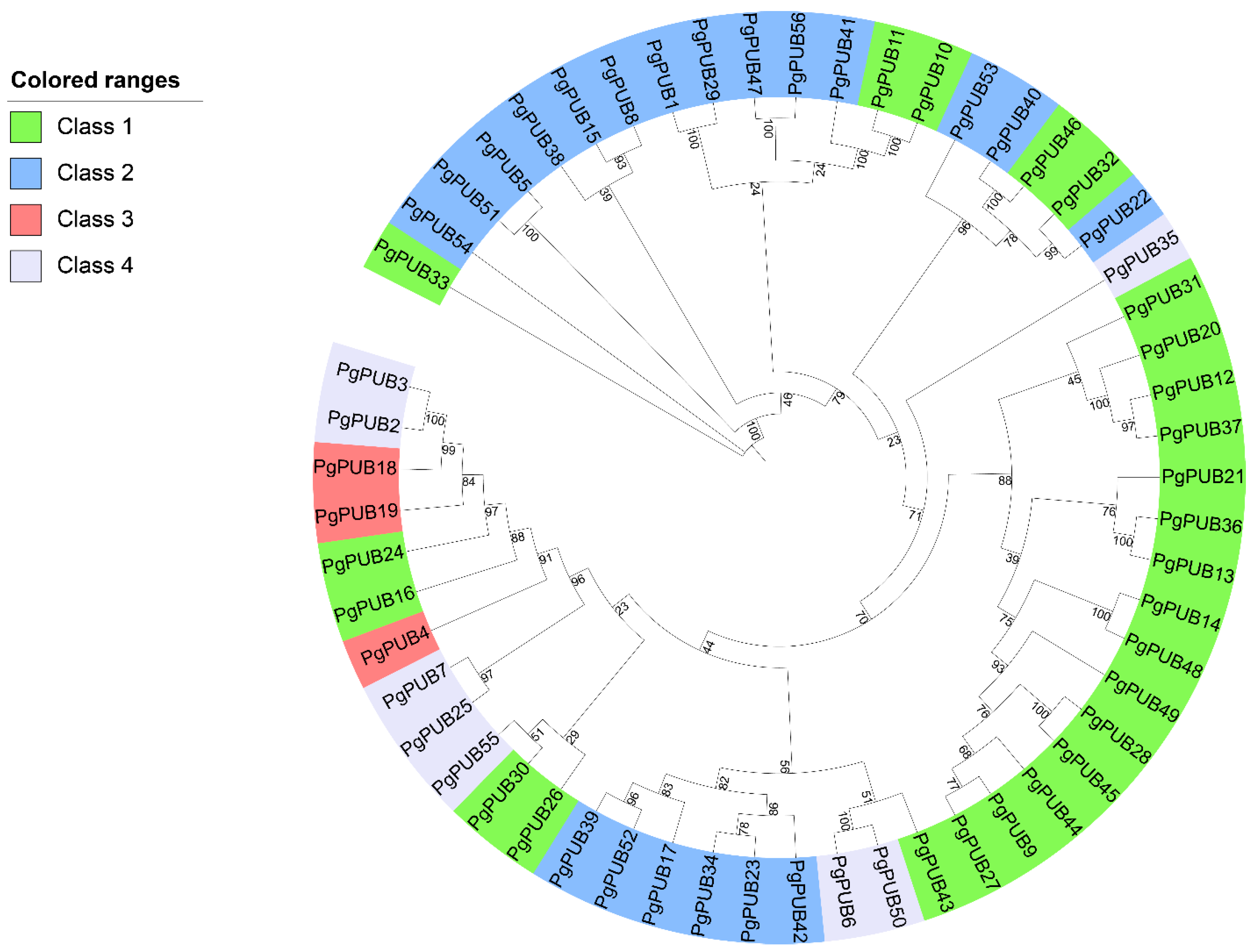 Agronomy 13 00332 g001