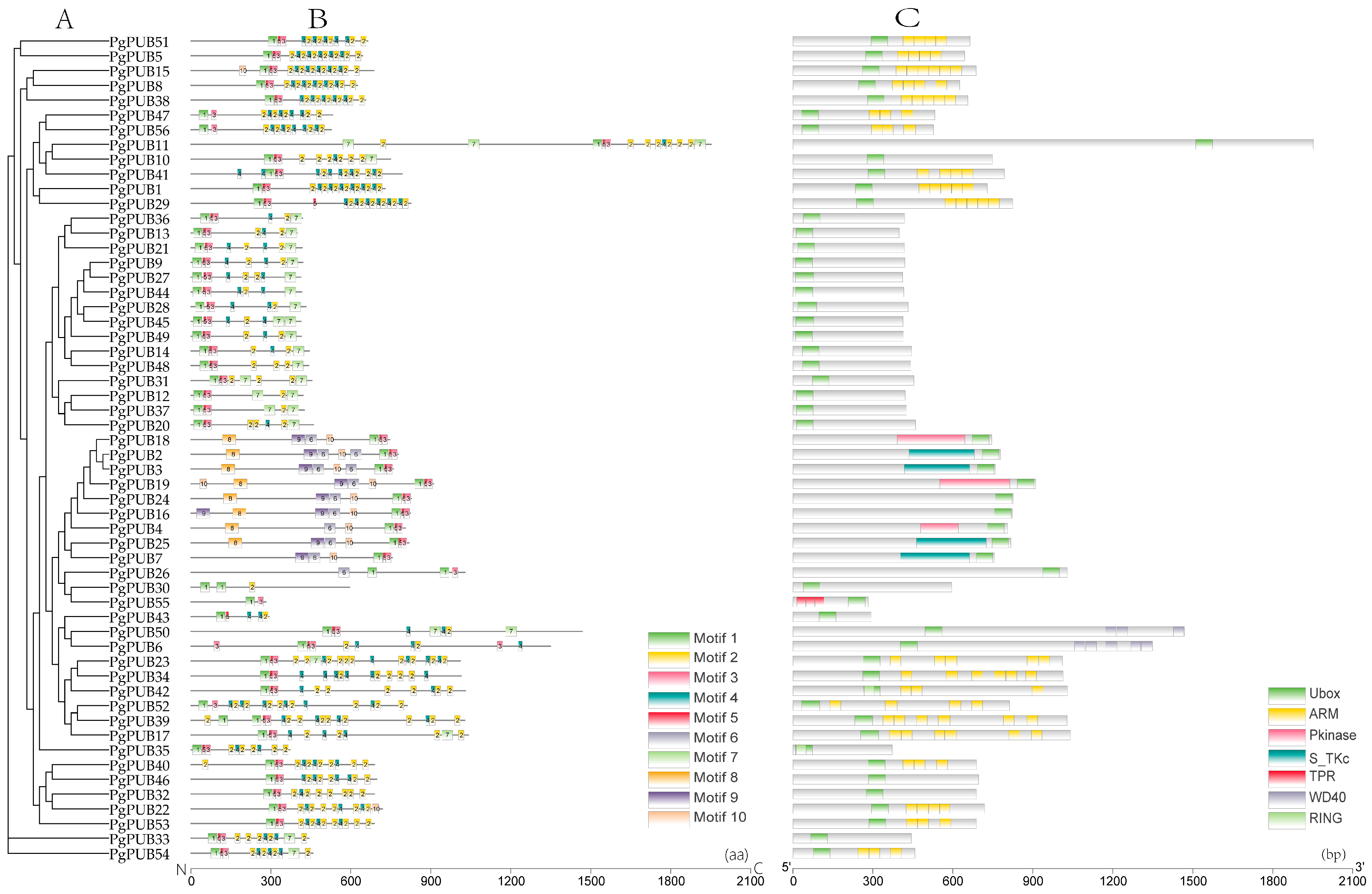 Agronomy 13 00332 g002