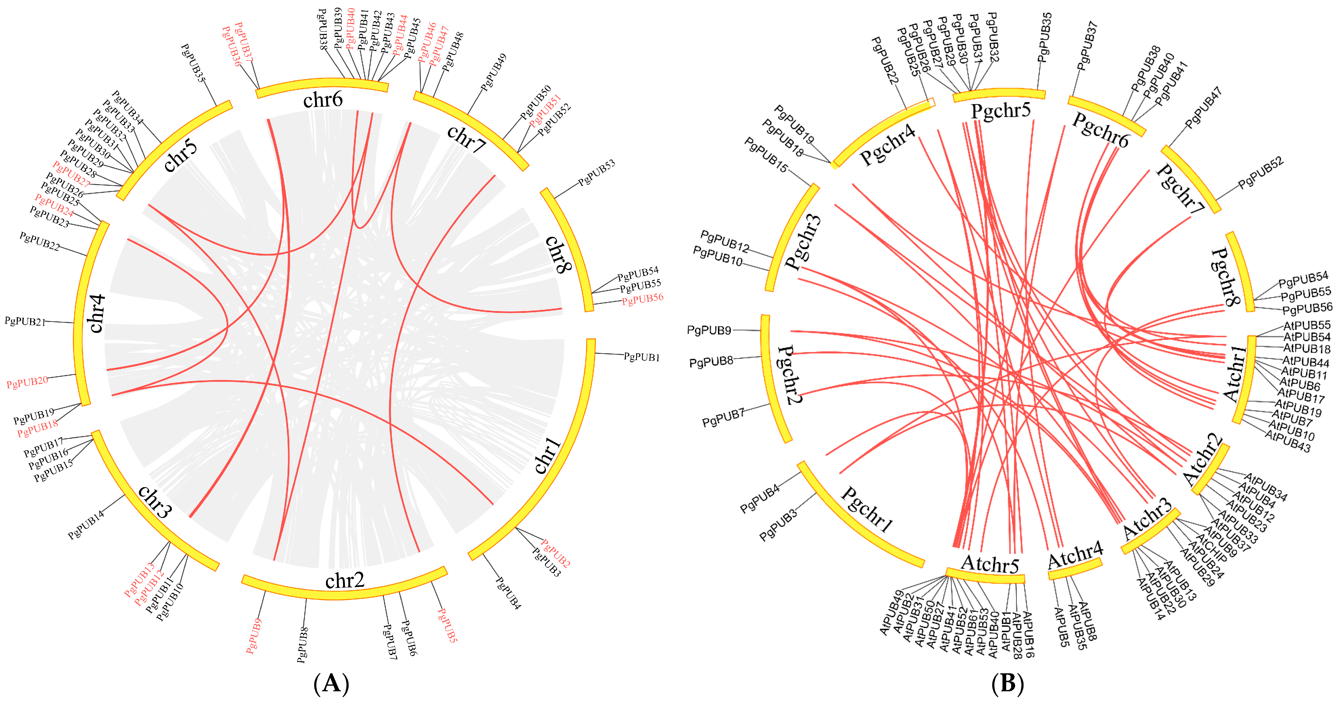 Agronomy 13 00332 g004