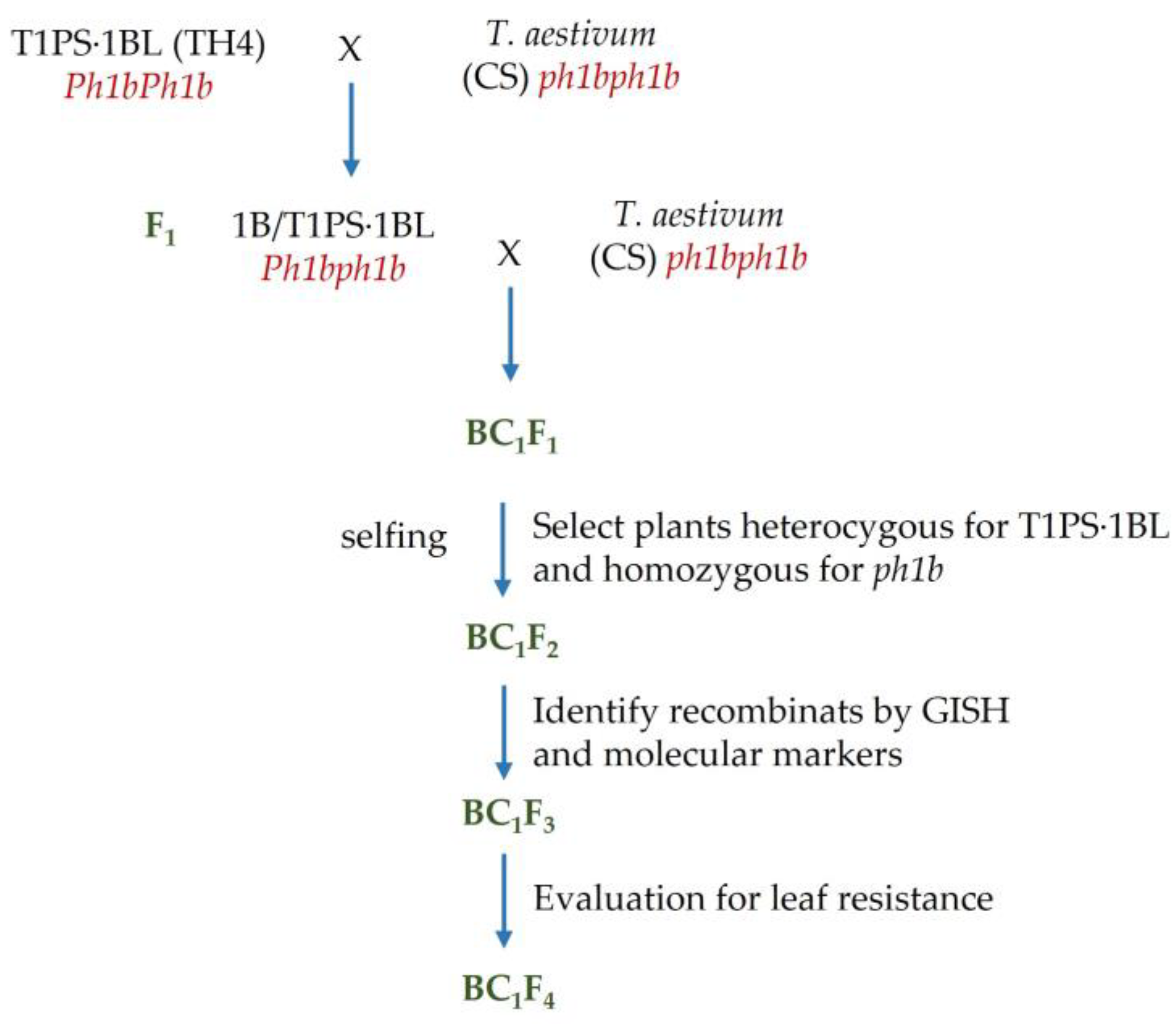 Agronomy 13 00334 g001