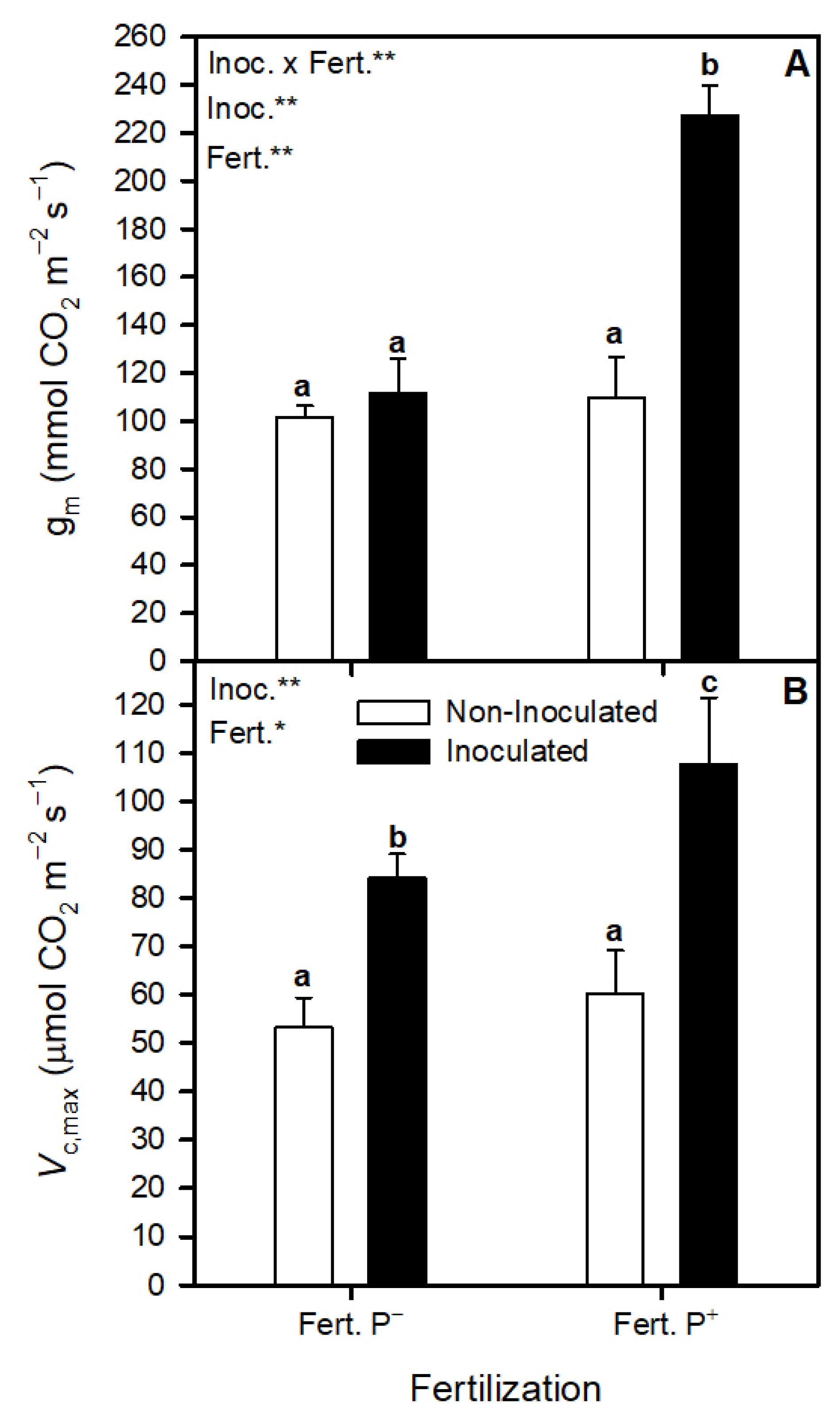 Agronomy 13 00335 g004